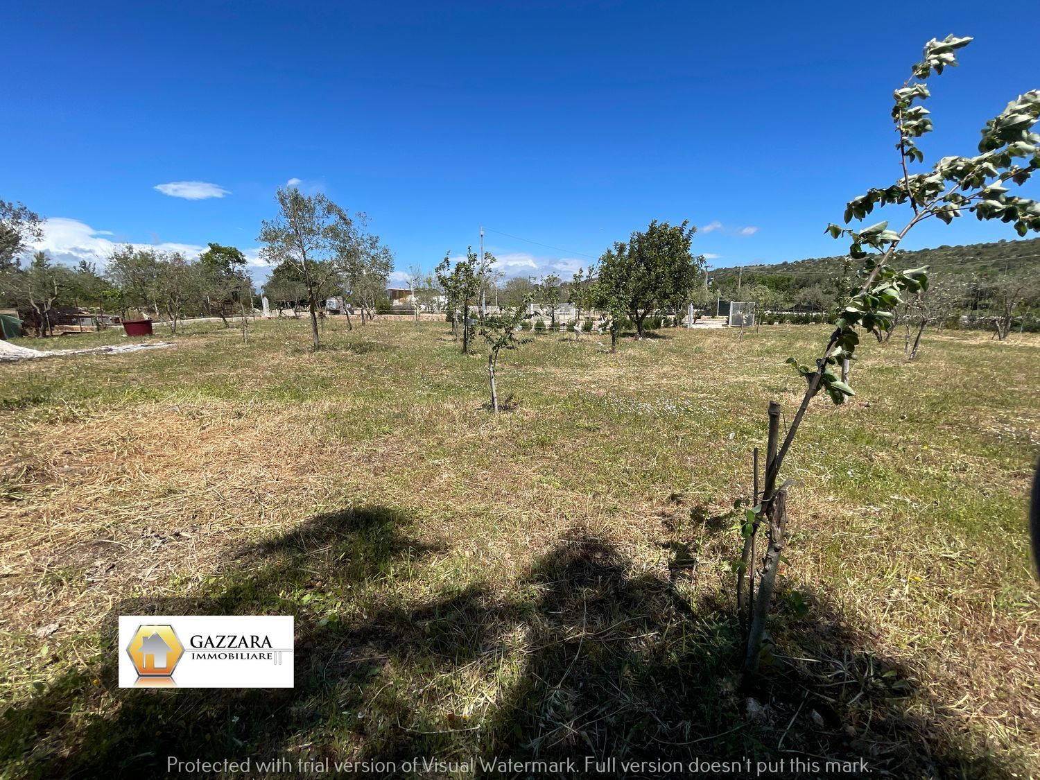 Terreno Agricolo in vendita a Noto