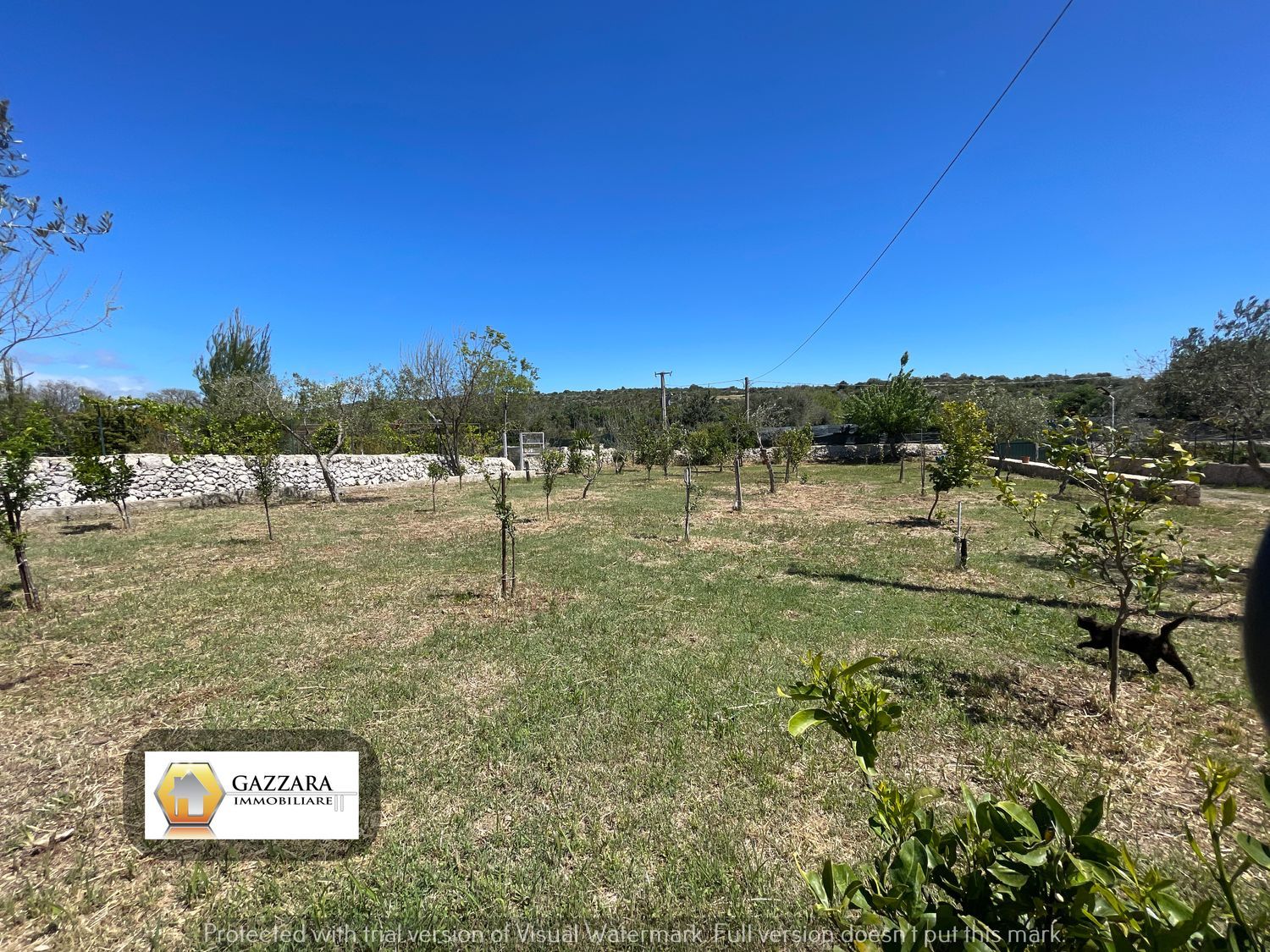 Terreno Agricolo in vendita a Noto