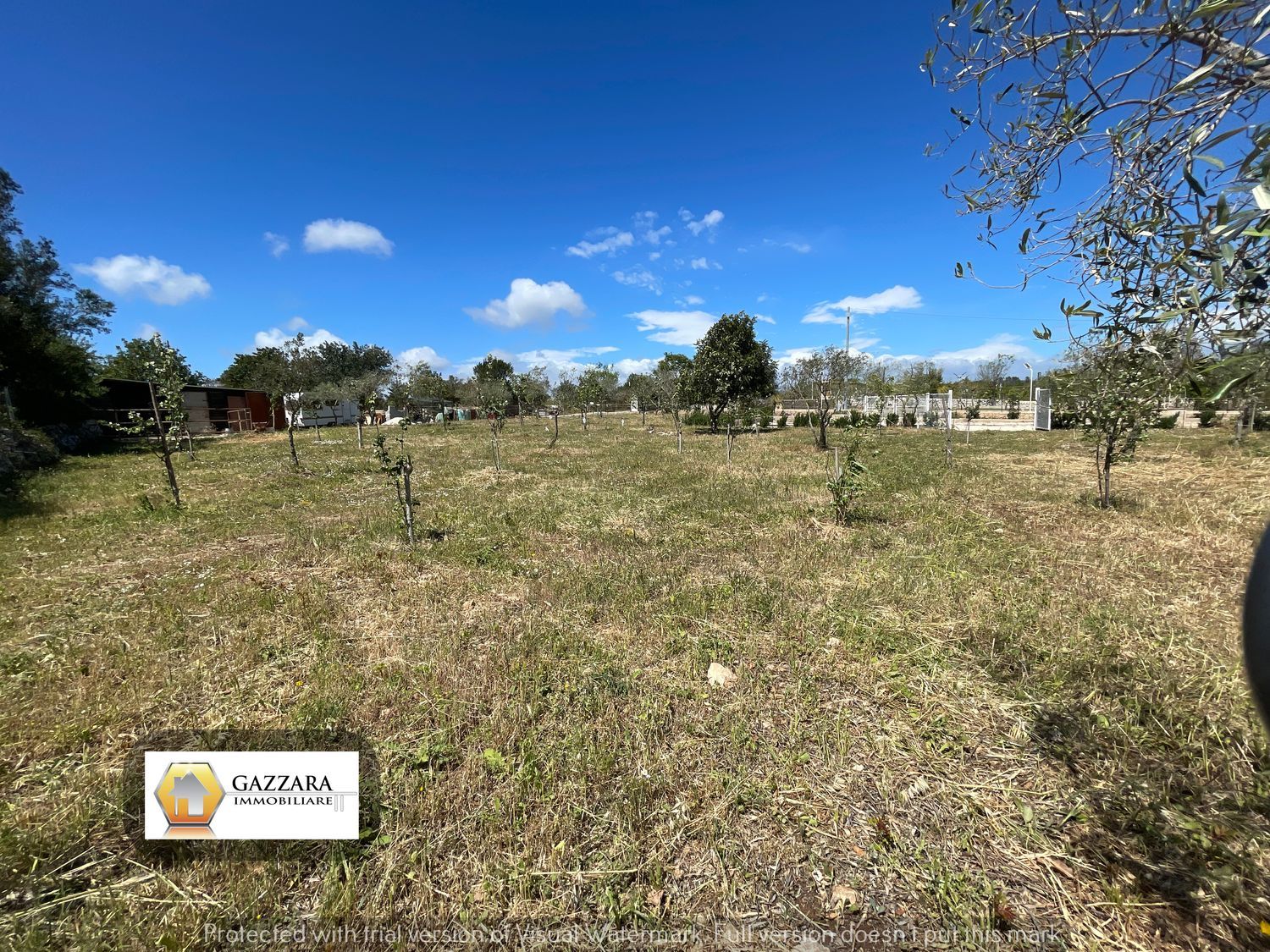 Terreno Agricolo in vendita a Noto