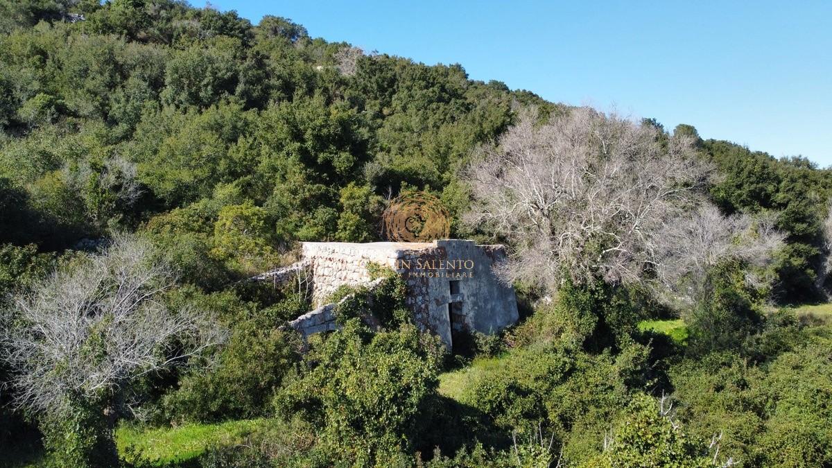 Terreno Agricolo in vendita a Alessano