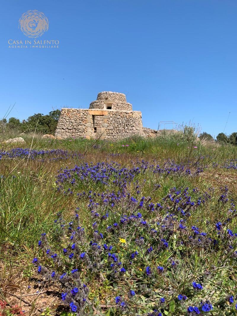 Terreno Agricolo in vendita a Alessano