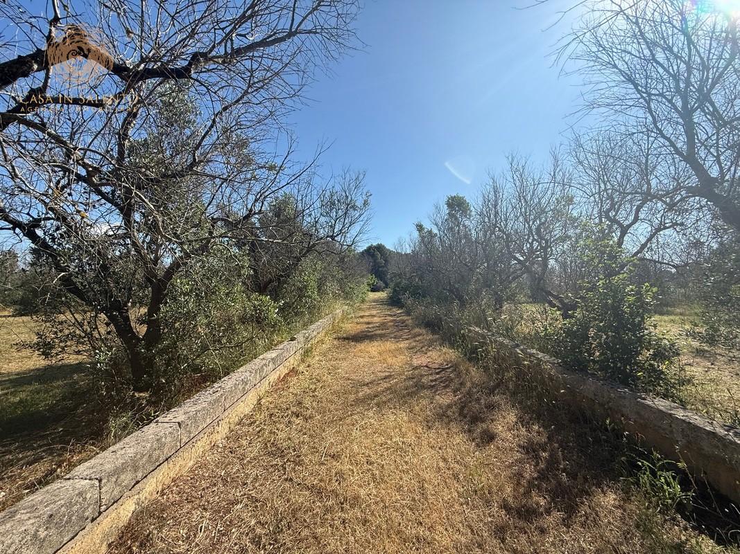 Terreno Agricolo in vendita a Alessano