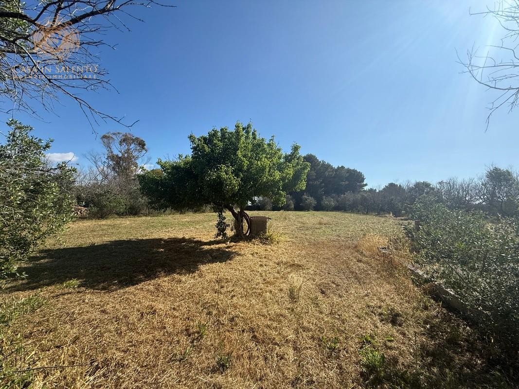 Terreno Agricolo in vendita a Alessano