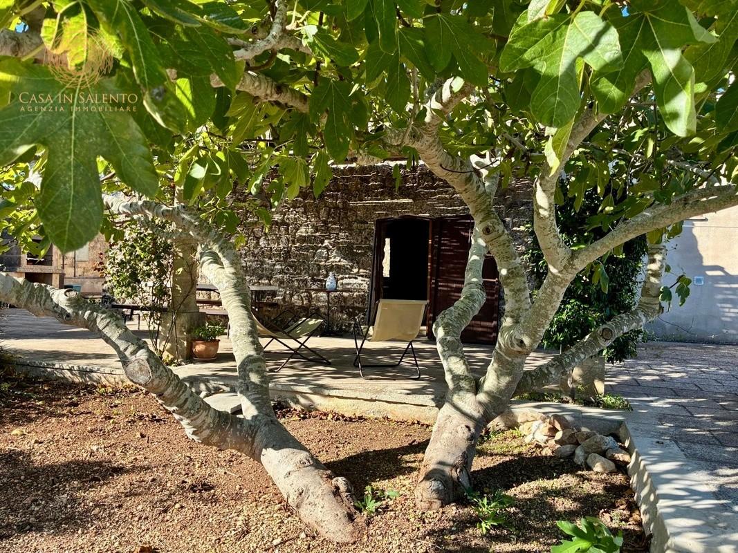Villa con giardino, Alessano montesardo