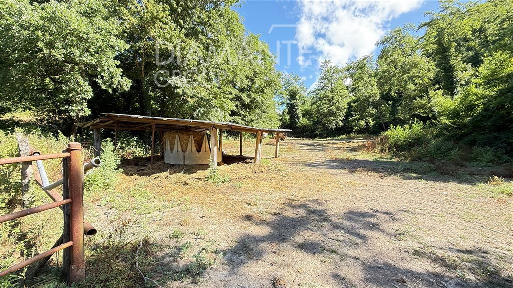 Casa indipendente con giardino a Gubbio