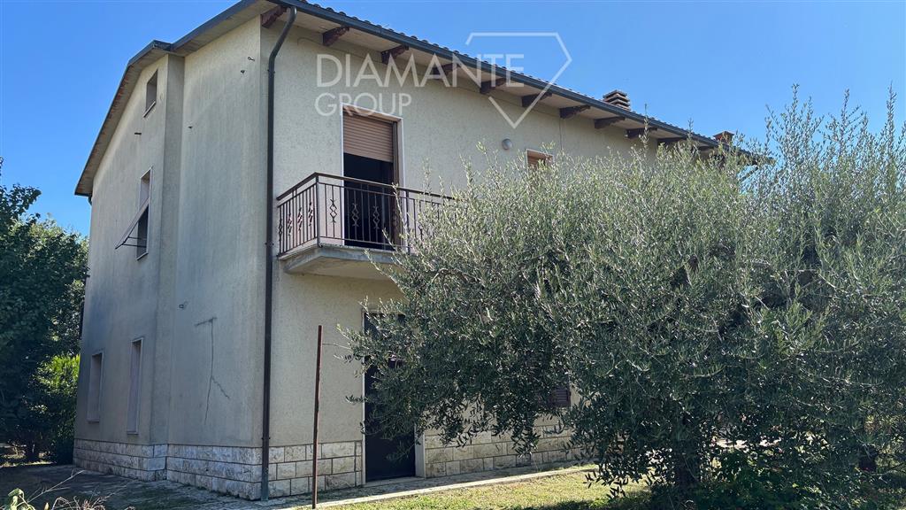 Casa indipendente con giardino a Castiglione del Lago