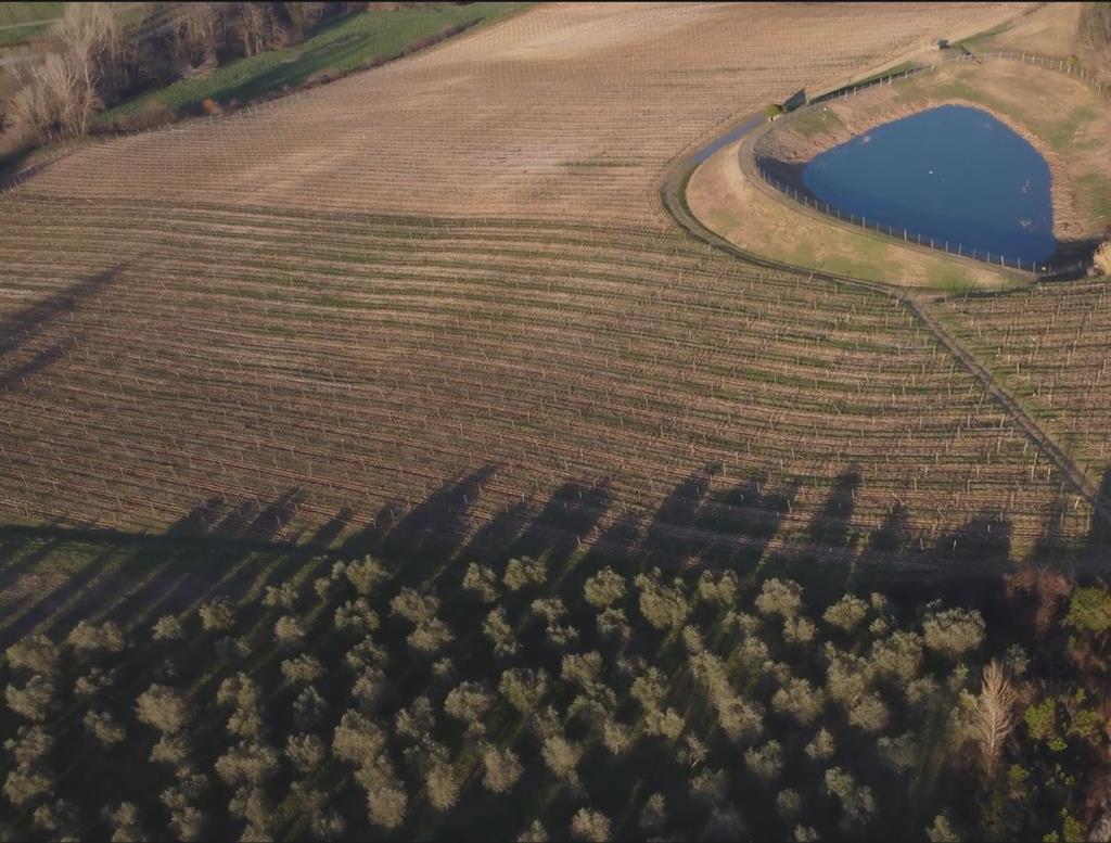 Terreno Agricolo in vendita a San Casciano in Val di Pesa