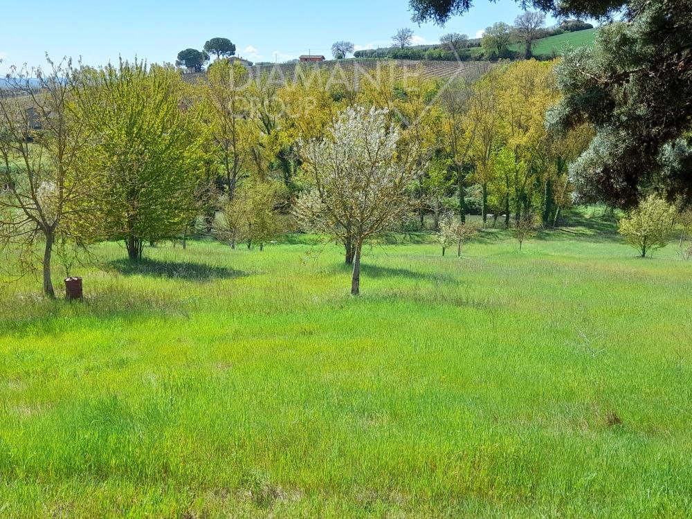 Terreno Agricolo in vendita in san valentino della collina, Marsciano