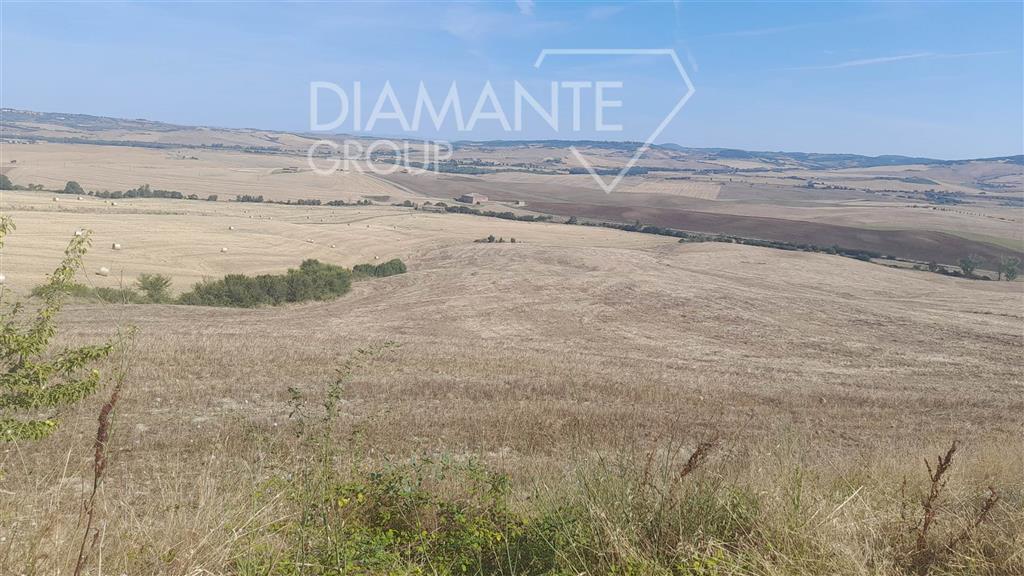 Terreno Agricolo in vendita a Castiglione d'Orcia