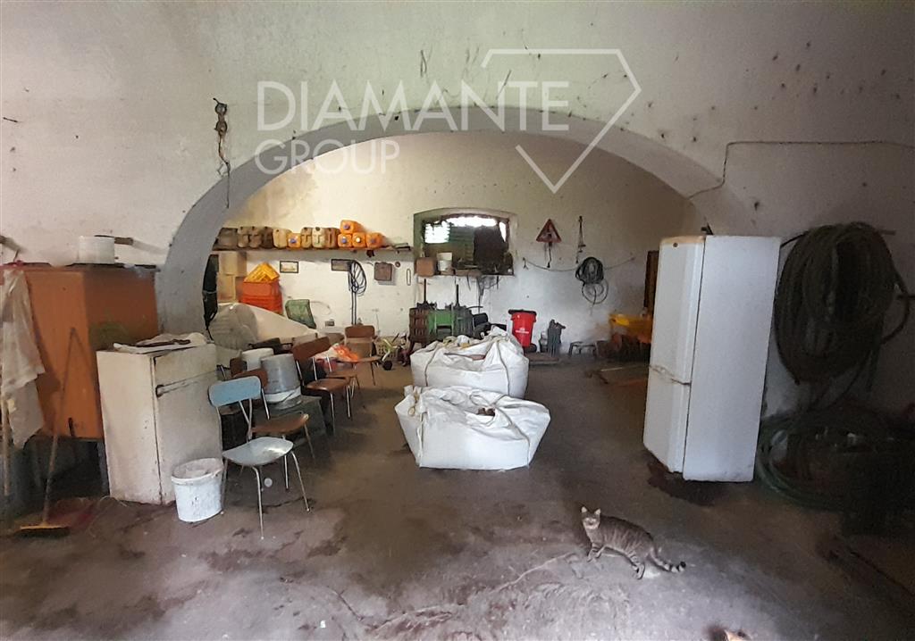 Rustico con giardino a Pitigliano