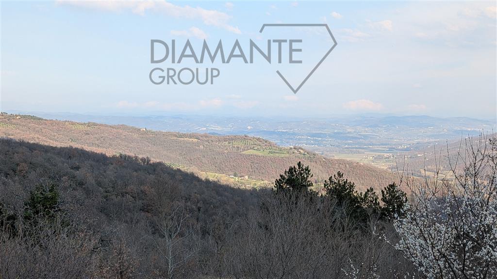 Rustico con giardino, Cortona portole