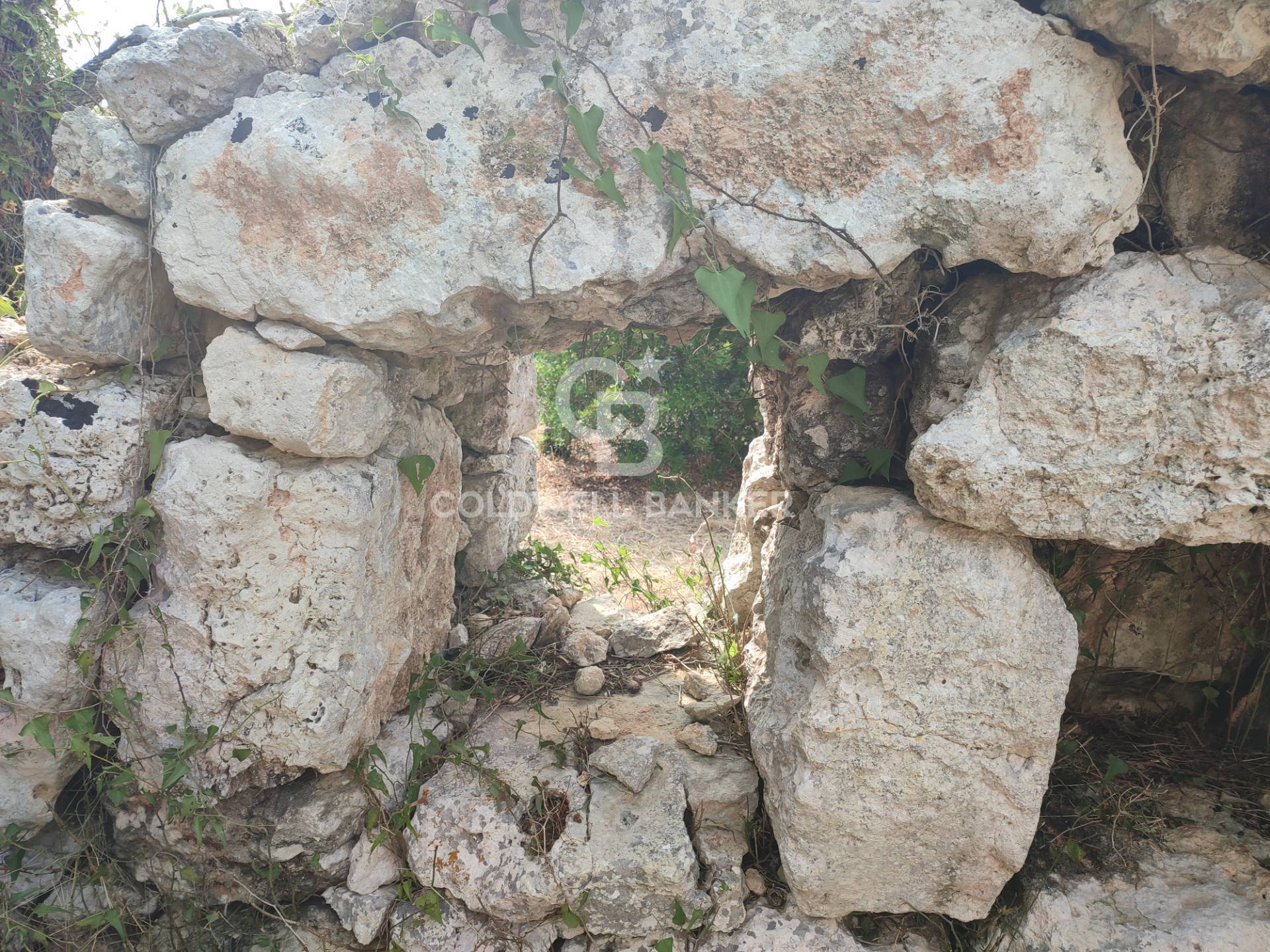 Terreno agricolo in vendita a Castrignano del Capo