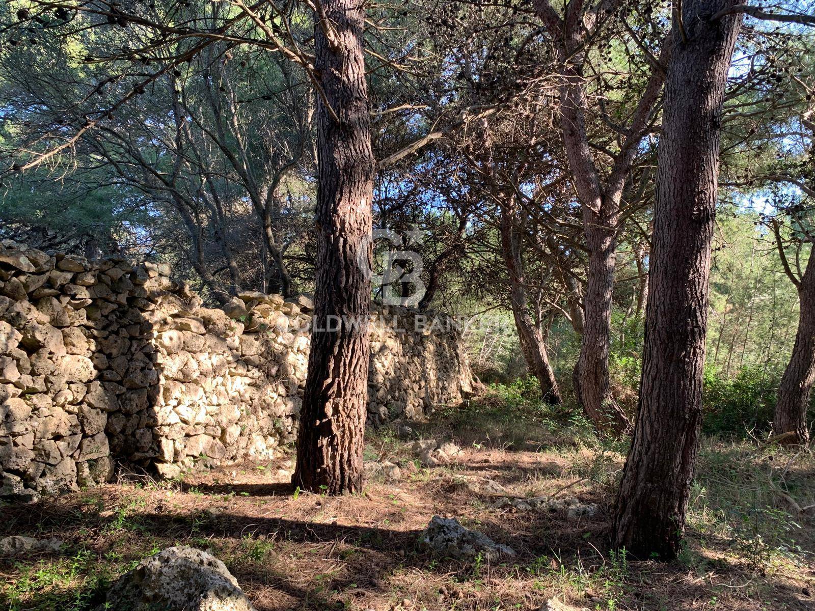 Terreno agricolo in vendita a Gagliano del Capo