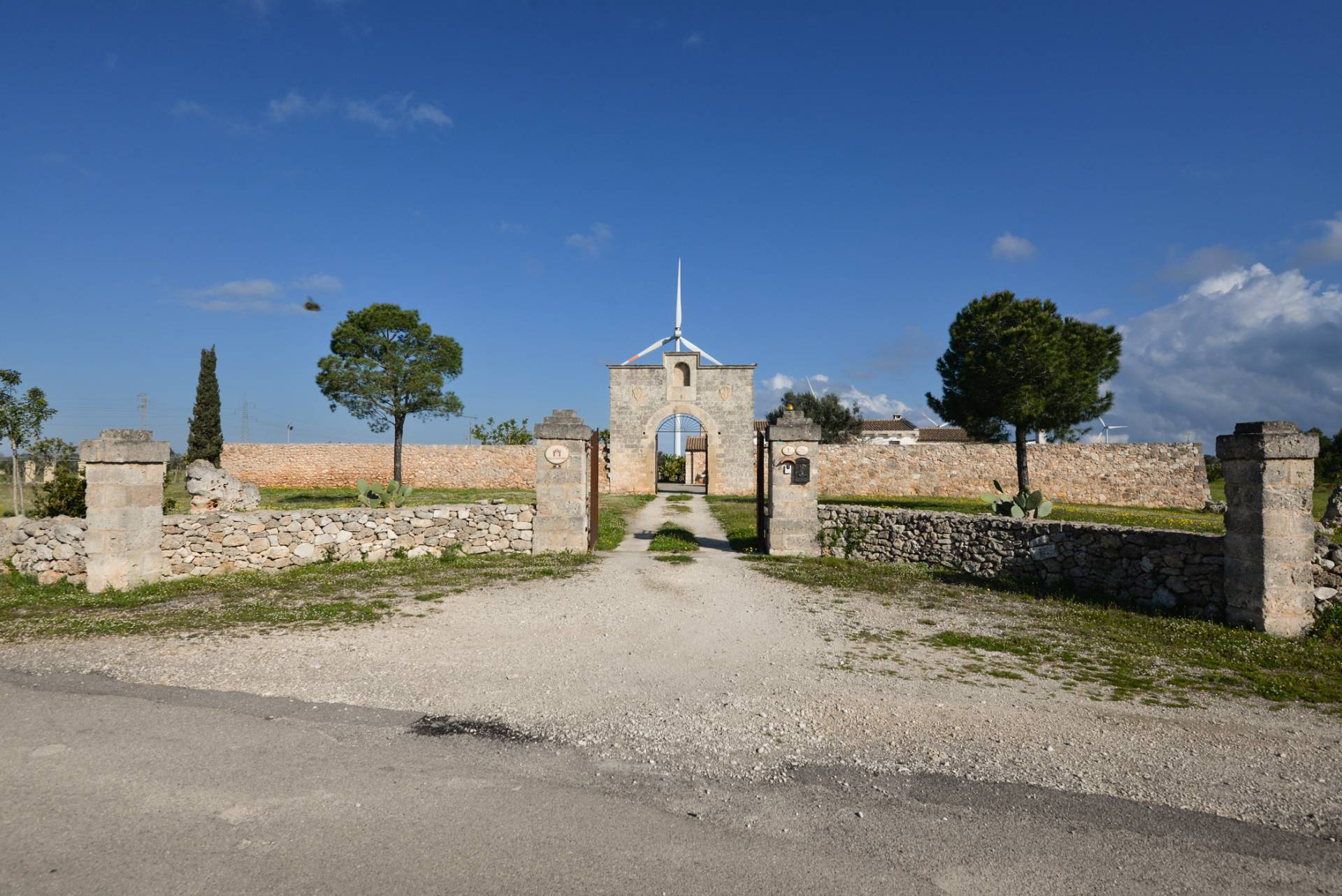 immagine annuncio 5 di 6