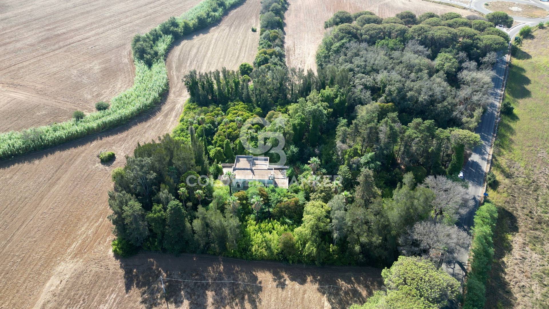 immagine annuncio 4 di 6