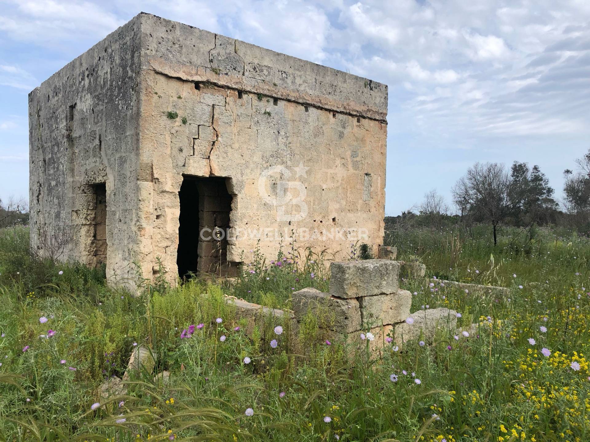 immagine annuncio 3 di 6