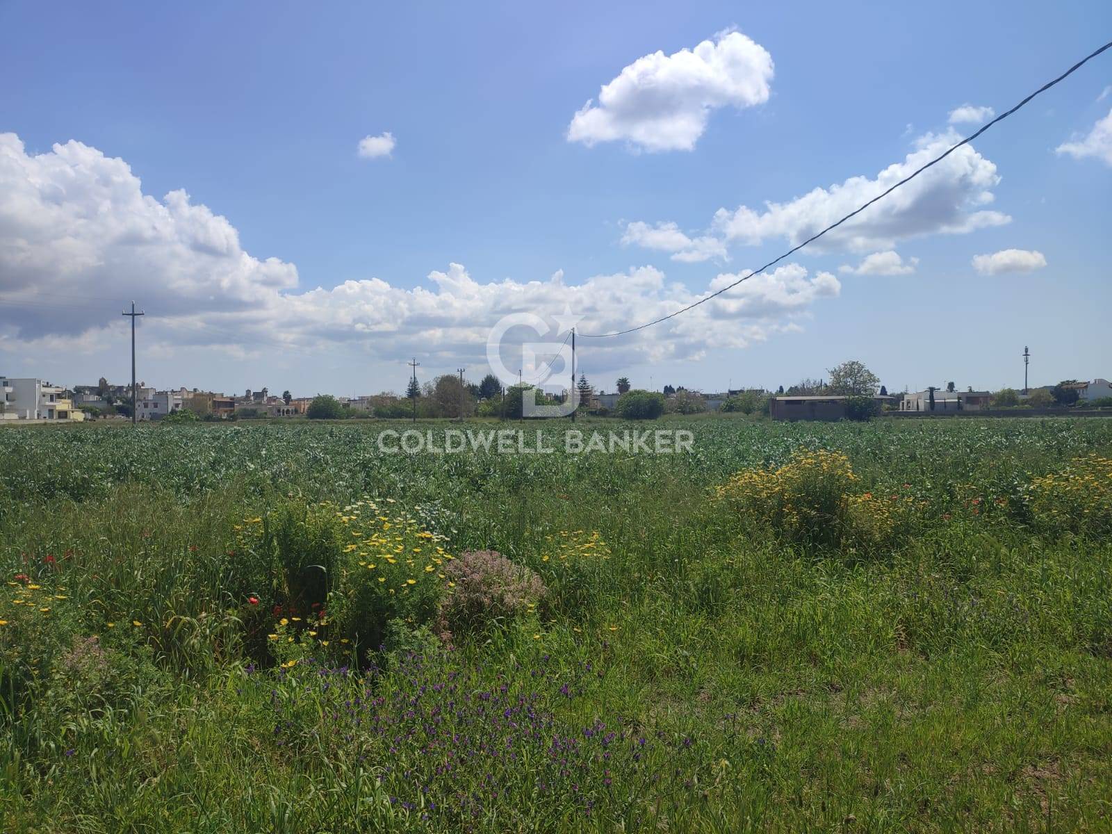 Terreno agricolo in vendita a Ruffano, Torrepaduli