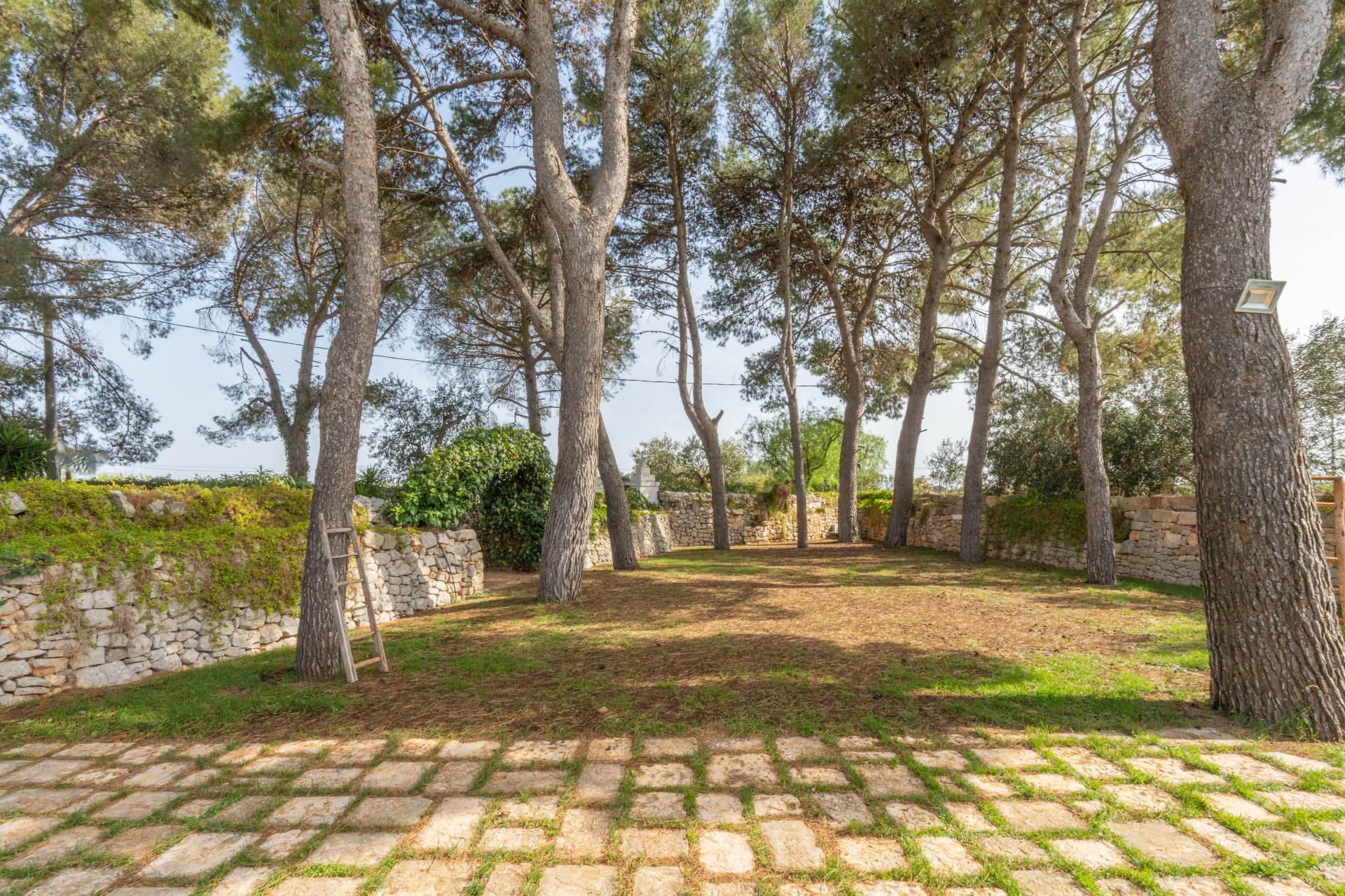 Masseria in vendita a Conversano