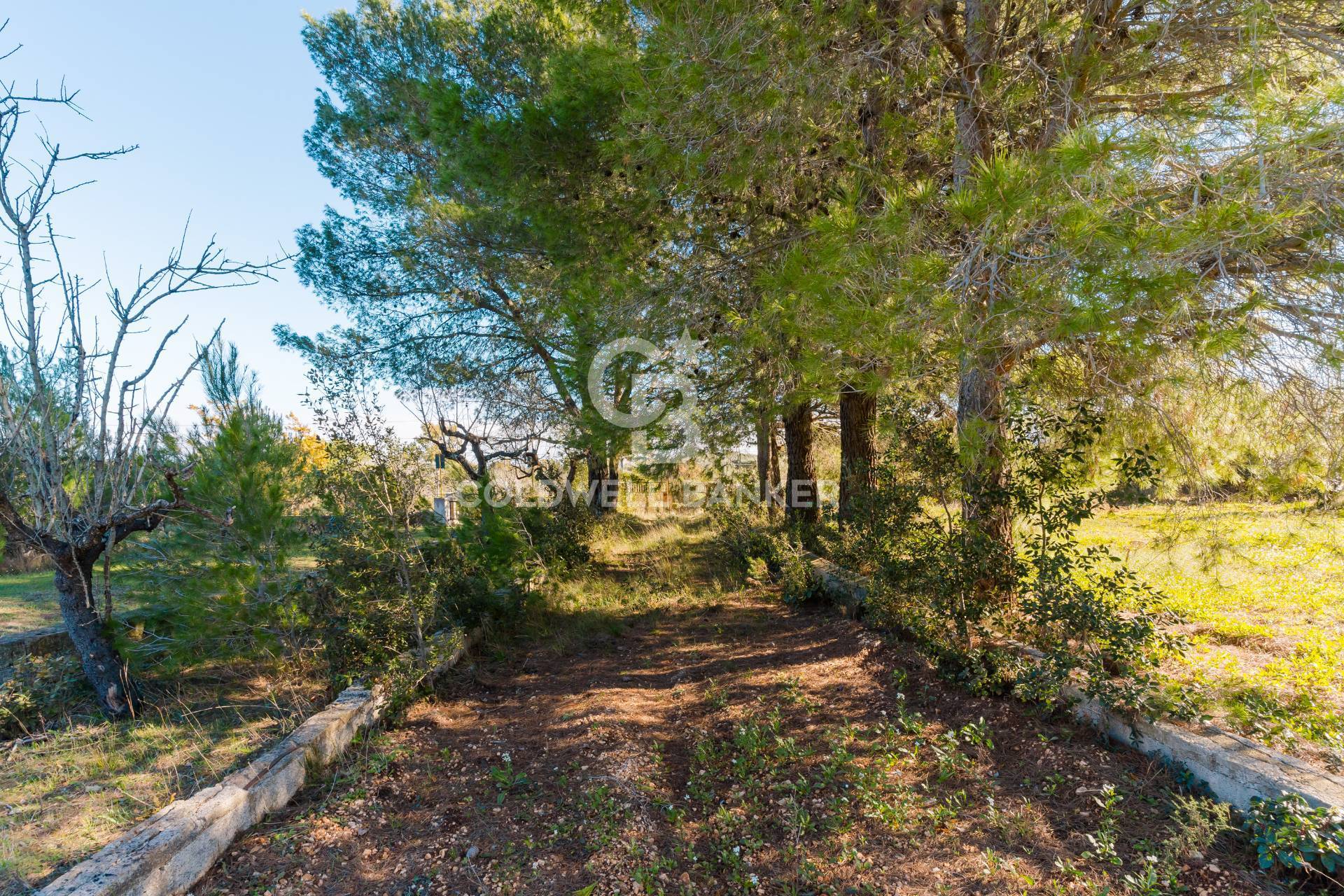 Trullo in vendita a Putignano