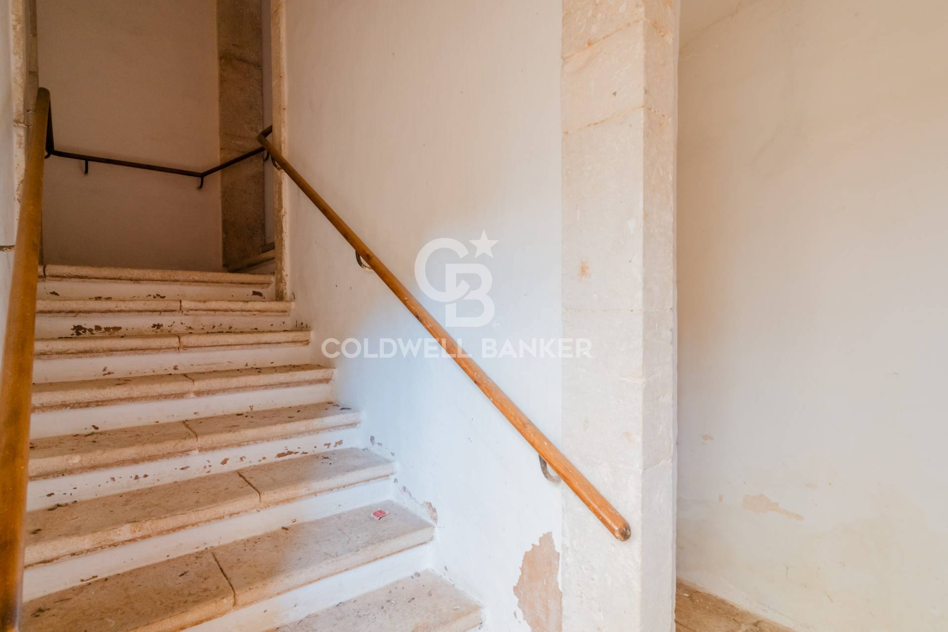 Masseria in affitto a Rutigliano