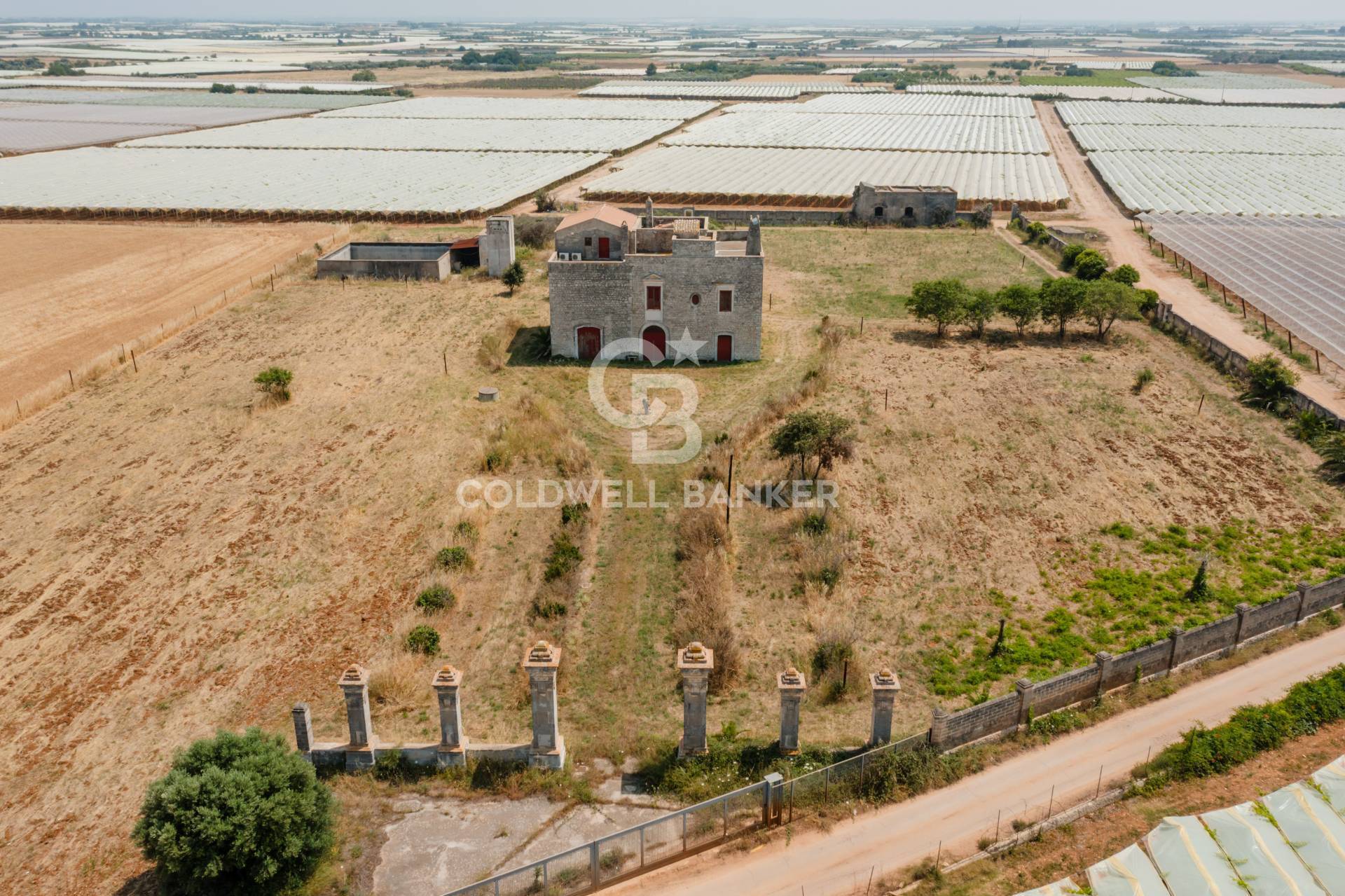 Masseria in affitto a Rutigliano