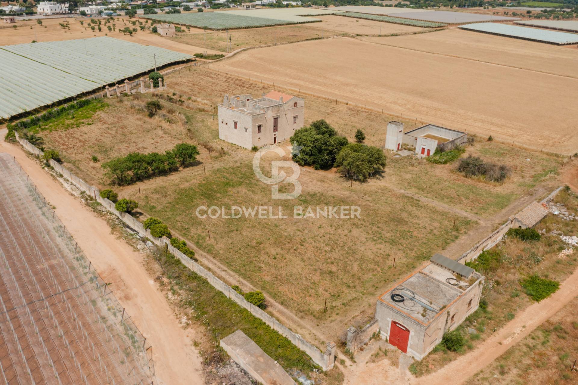 Masseria in affitto a Rutigliano