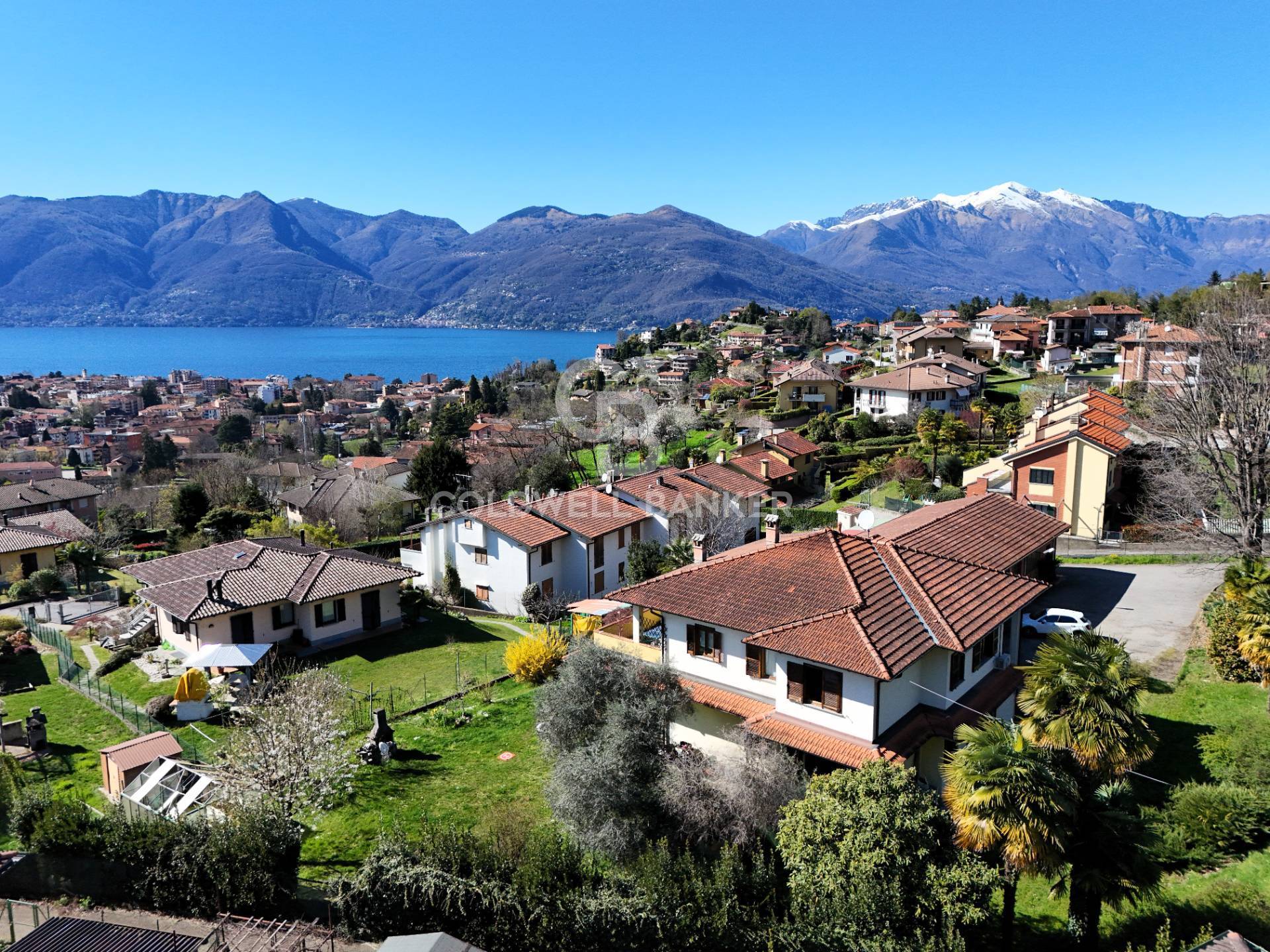 immagine annuncio 5 di 10