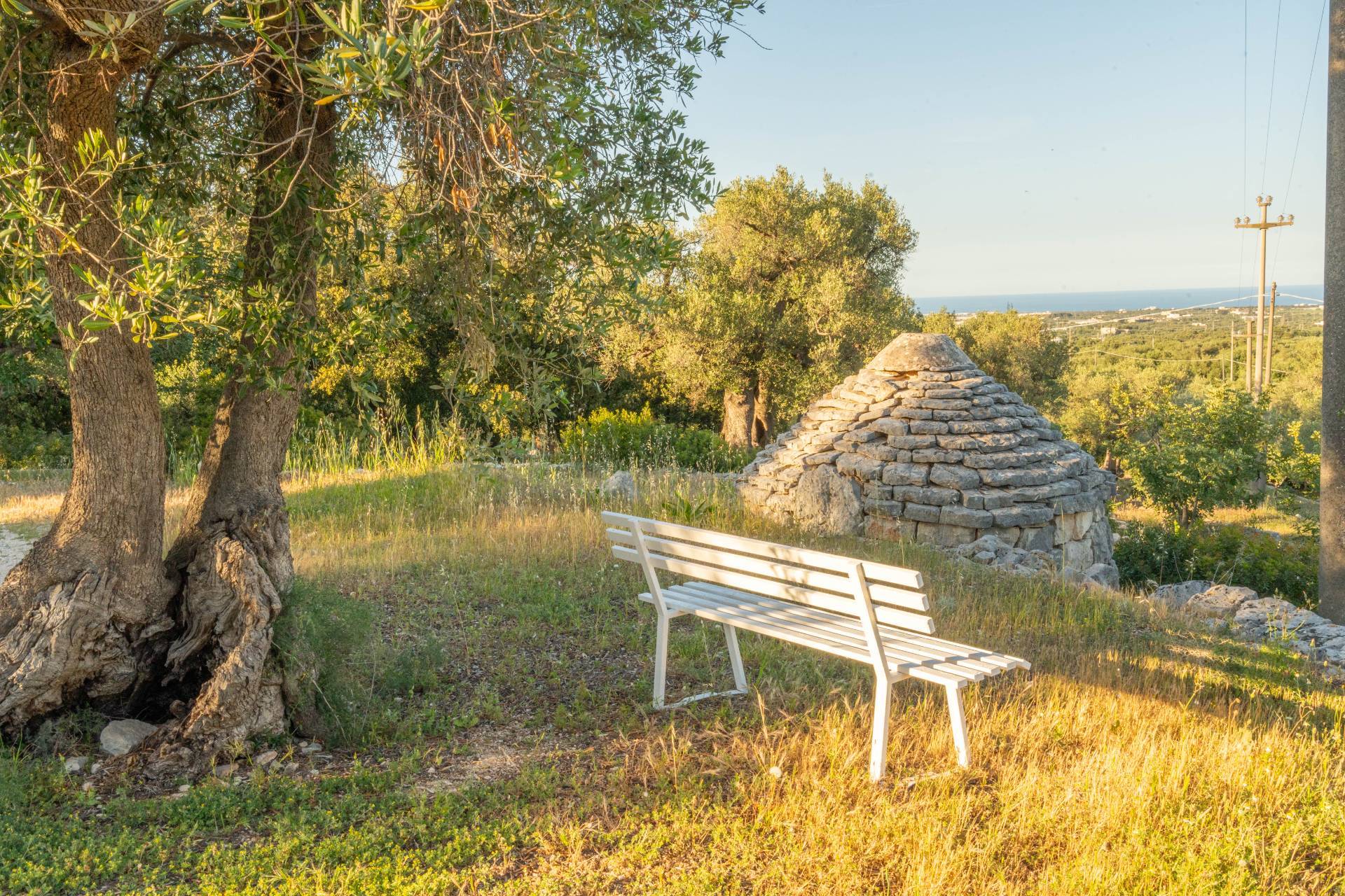 Masseria in vendita a Fasano