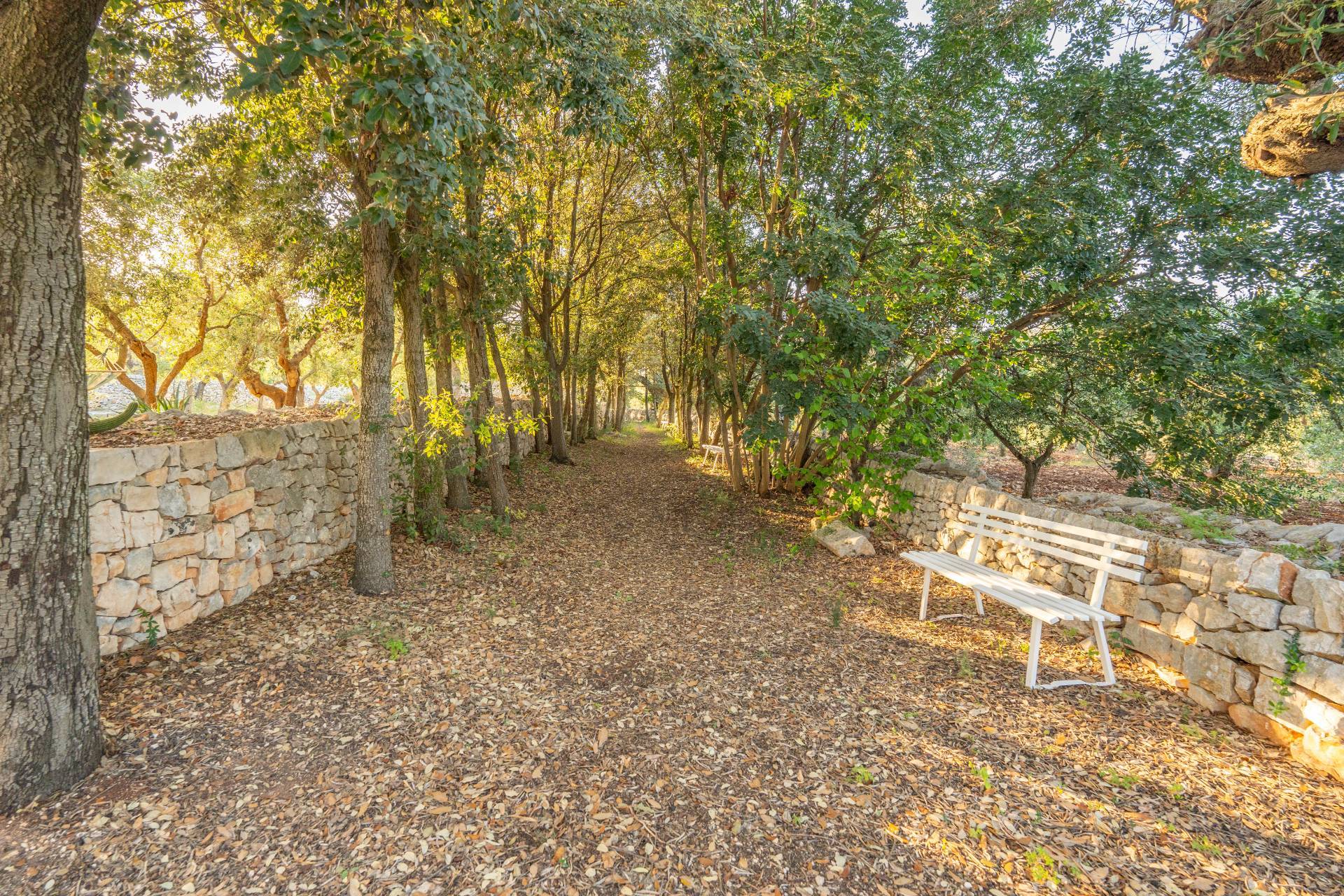 Masseria in vendita a Fasano