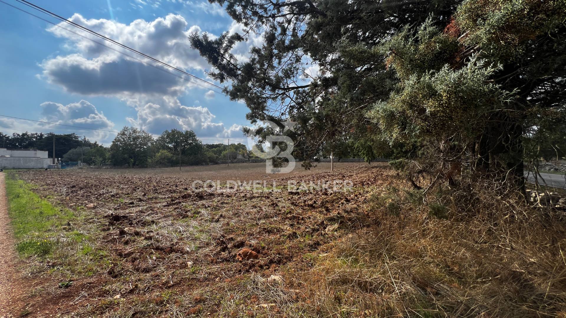 Terreno in vendita a Gioia del Colle
