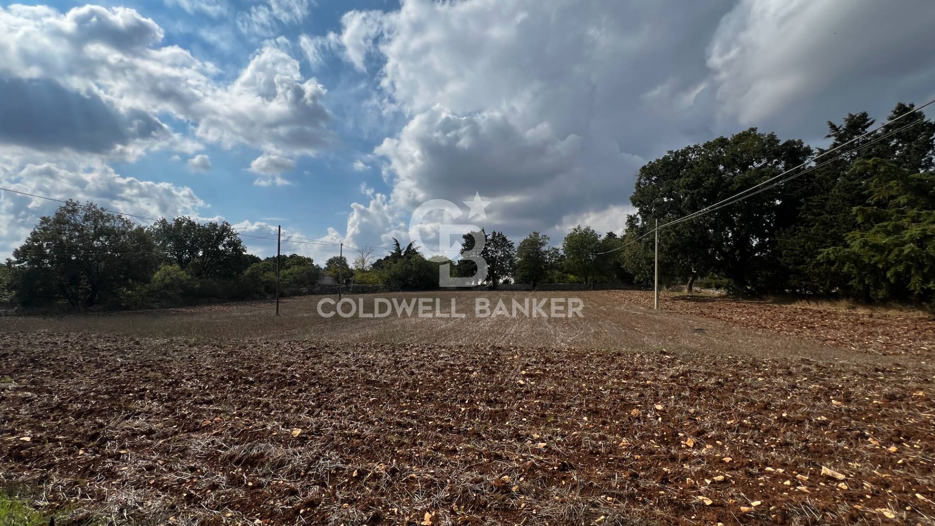 Terreno in vendita a Gioia del Colle