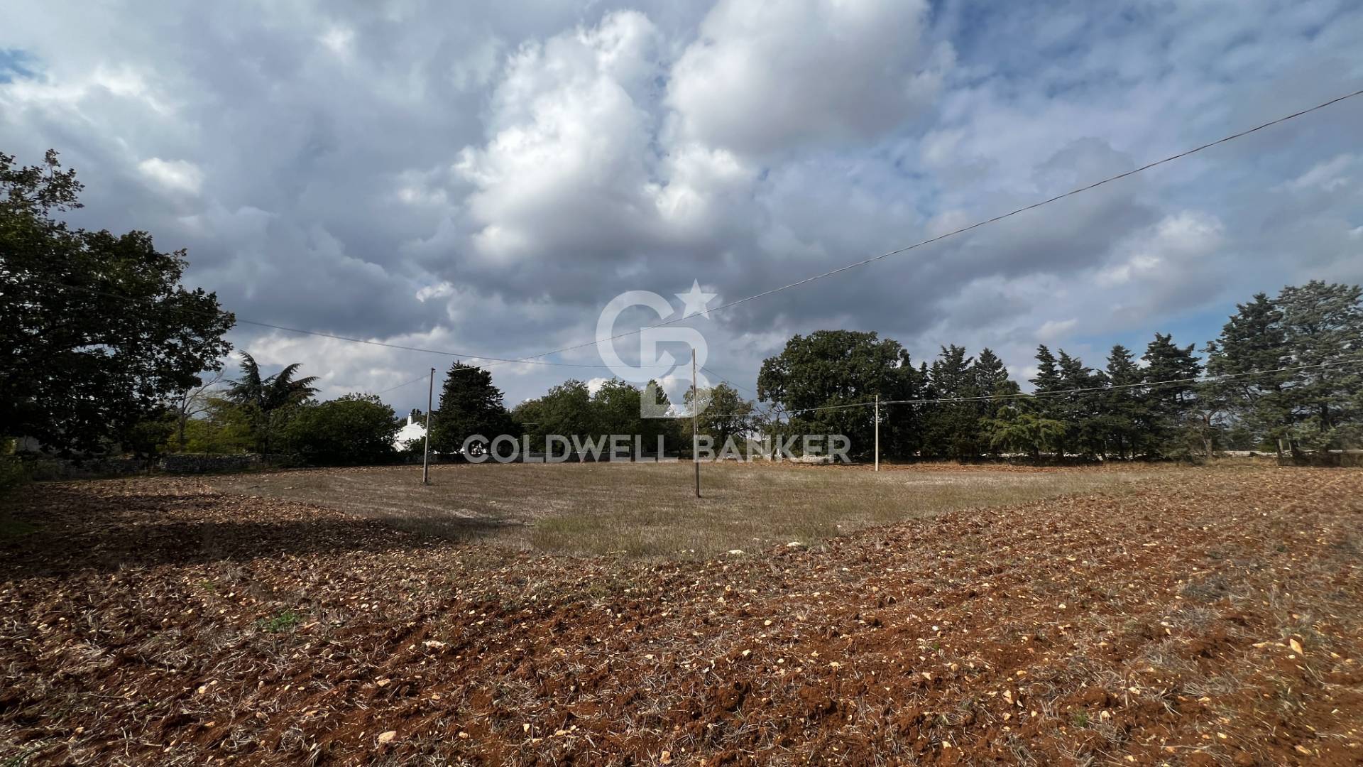 Terreno in vendita a Gioia del Colle
