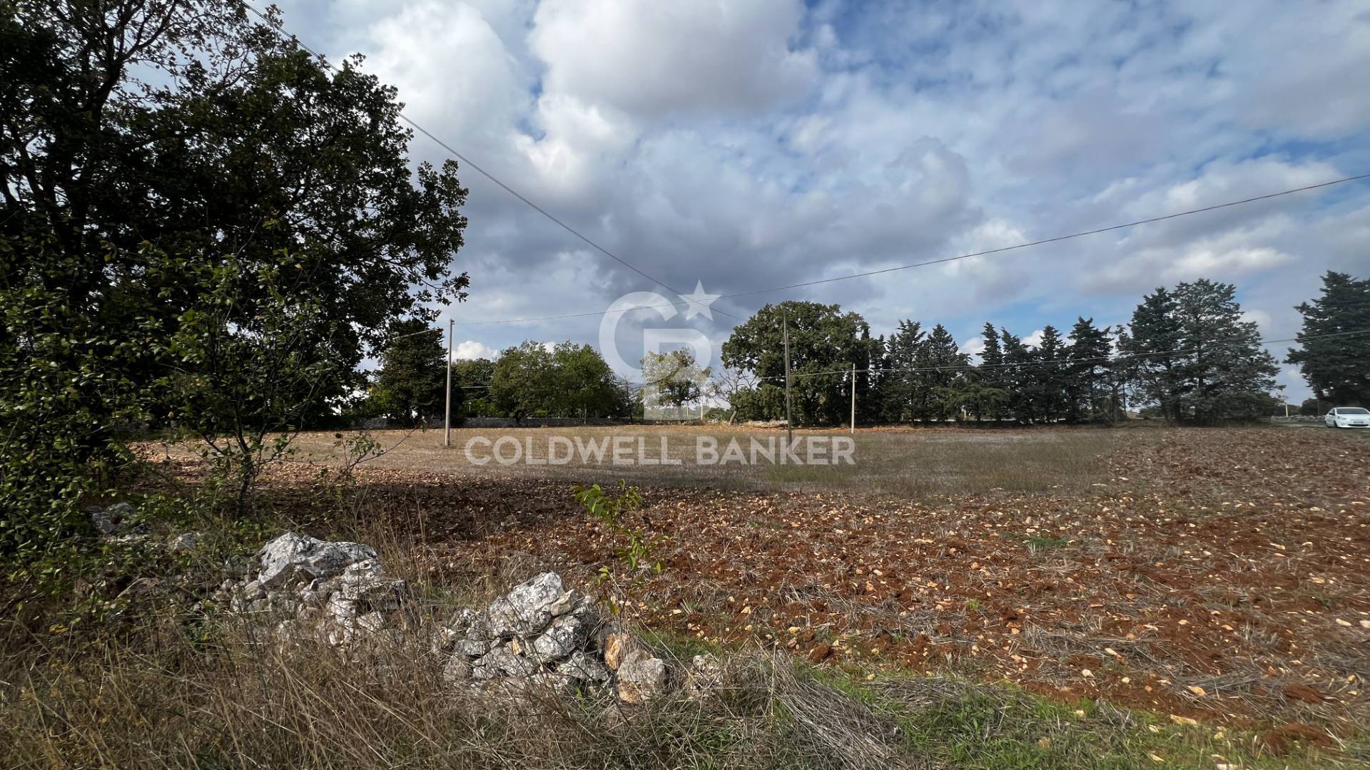 Terreno in vendita a Gioia del Colle