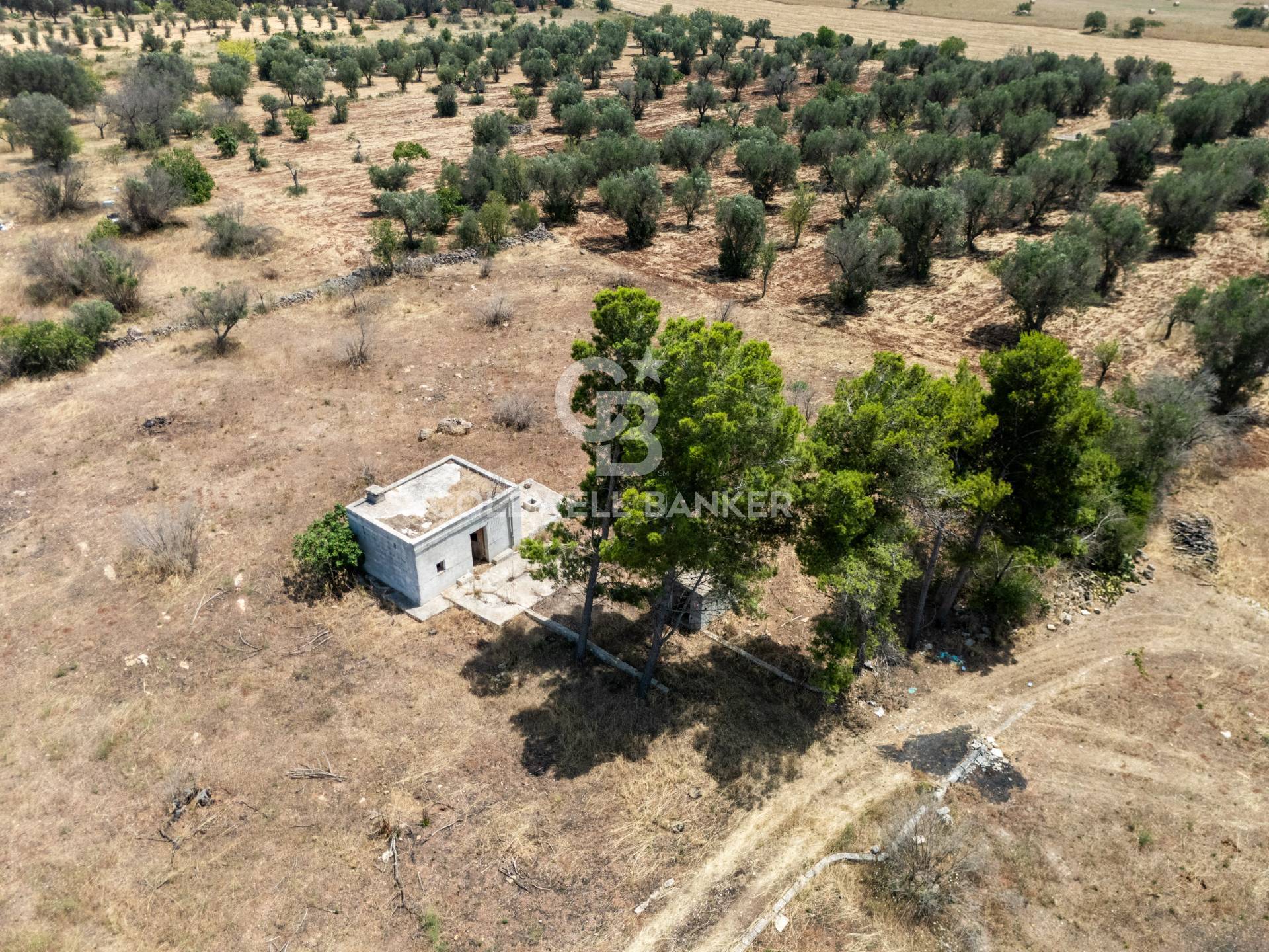 Terreno Edificabile in vendita a Latiano