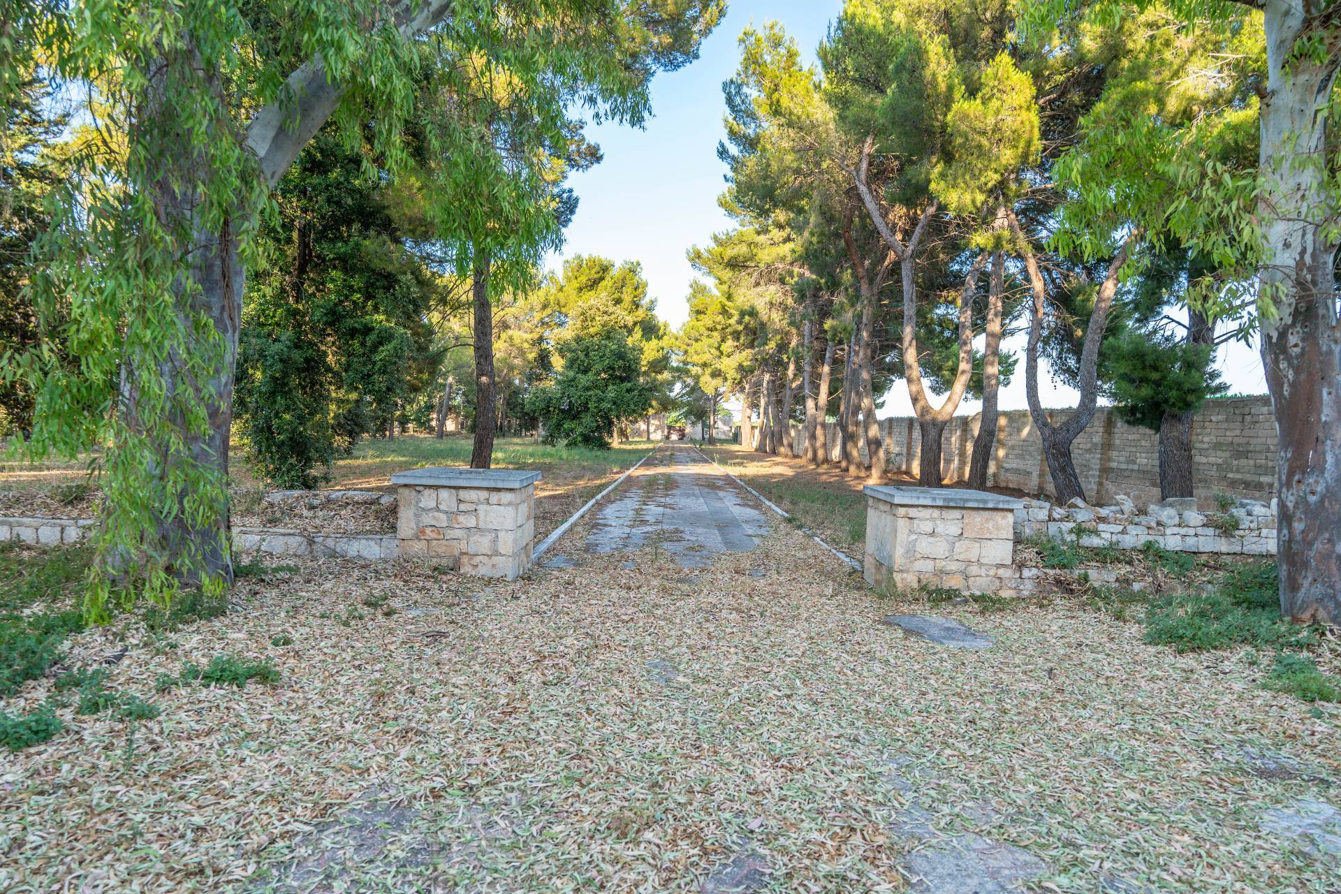 Tenuta in vendita a Casamassima