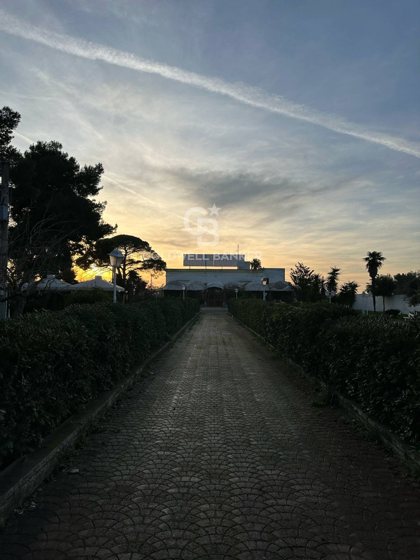 Complesso immobiliare in affitto a Triggiano