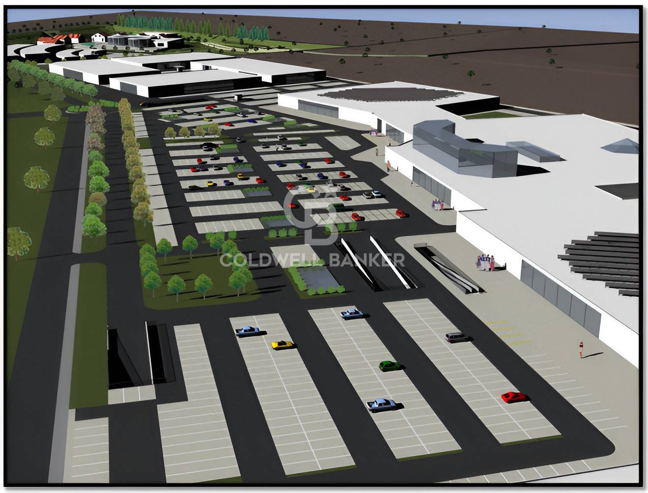 immagine annuncio 2 di 7