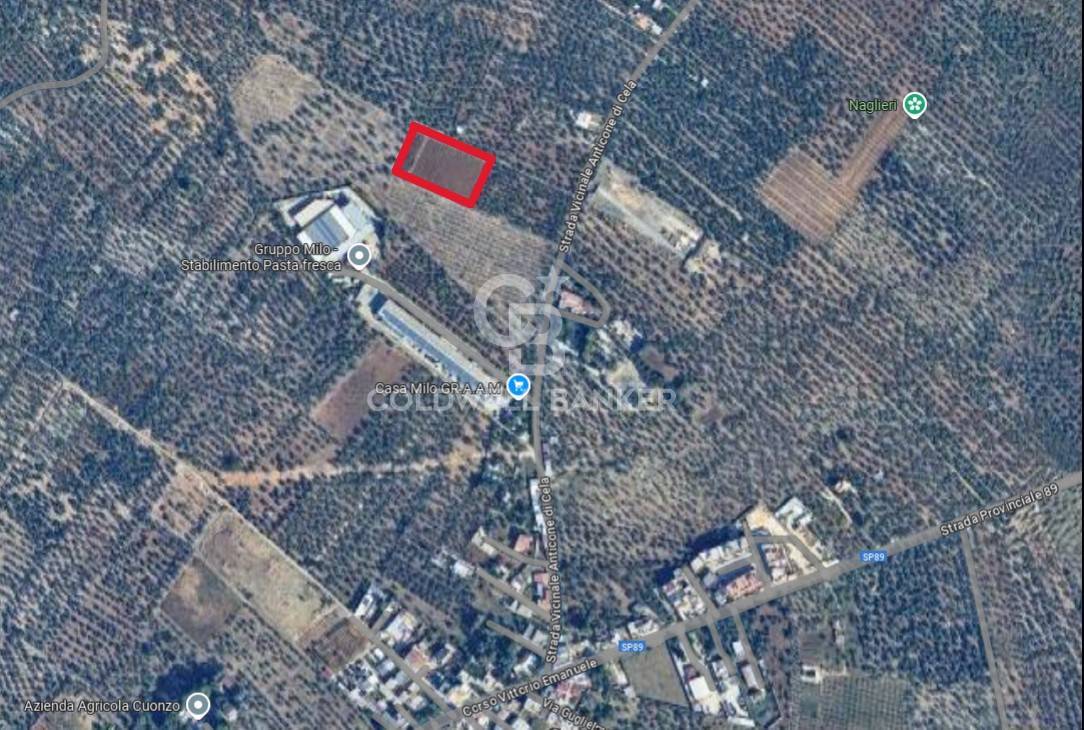 Terreno agricolo in vendita a Bitonto