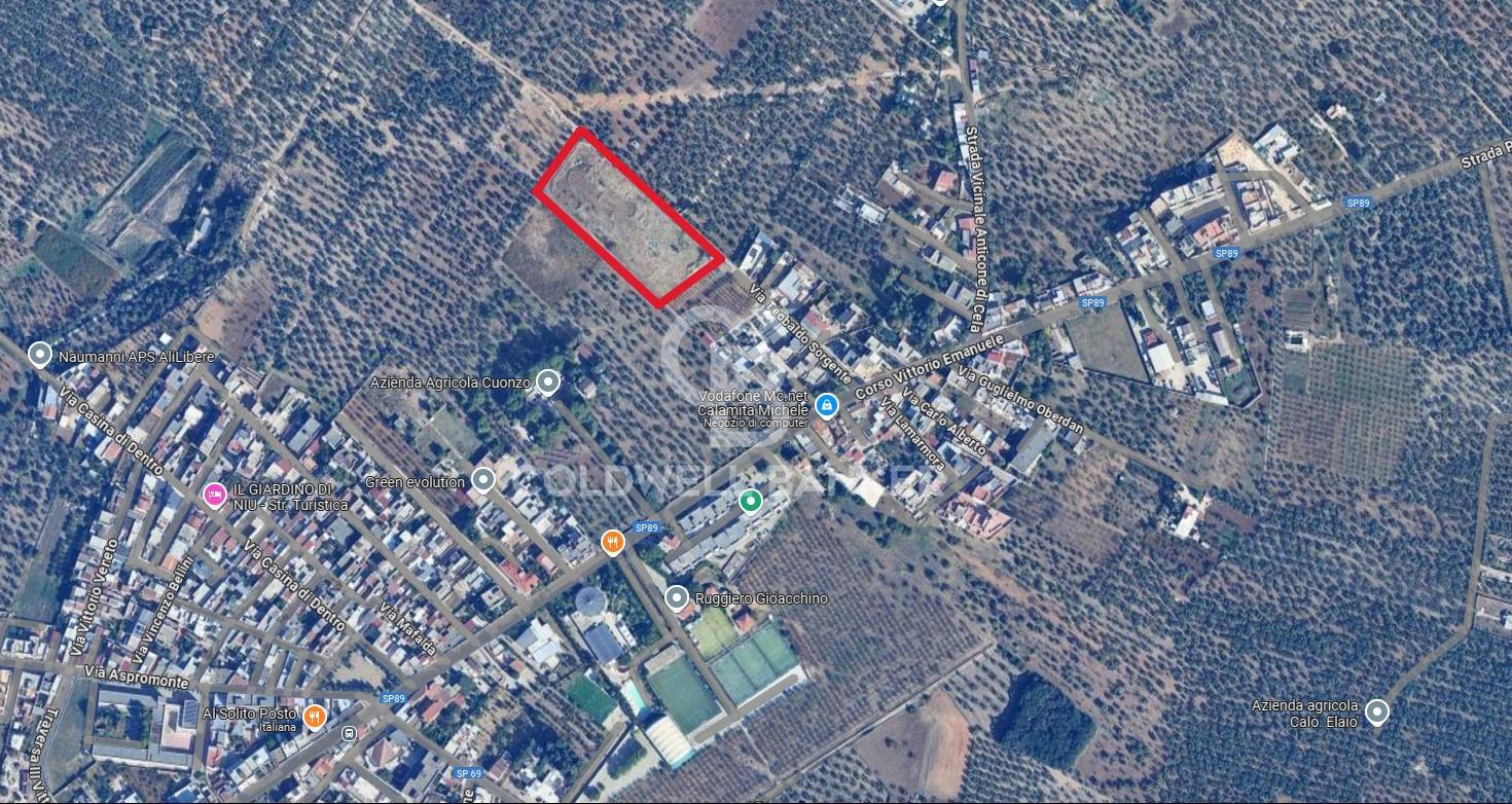 Terreno agricolo in vendita a Bitonto