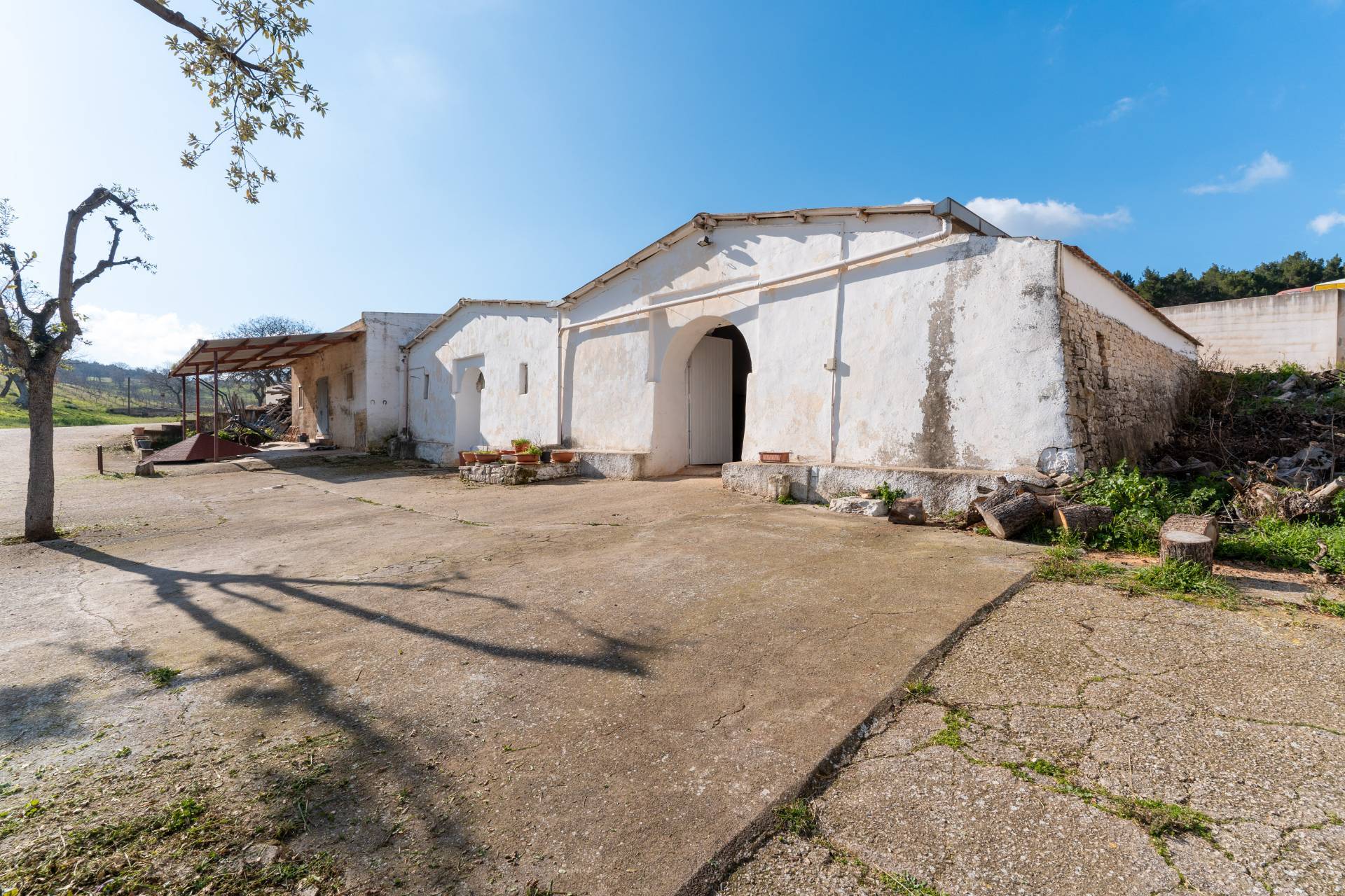 immagine annuncio 6 di 10