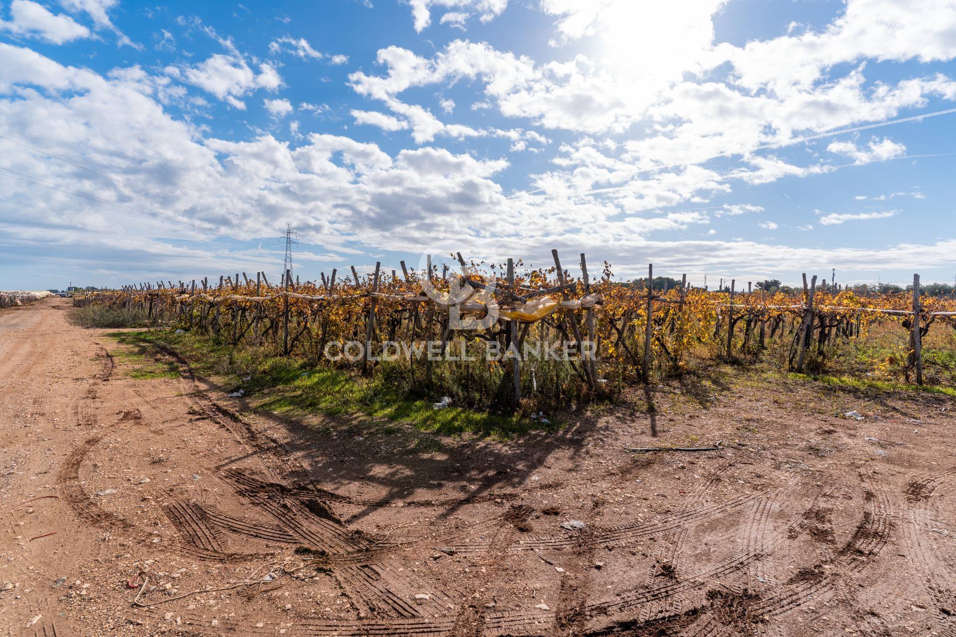 Terreno Edificabile in vendita a Bari, Torre a Mare