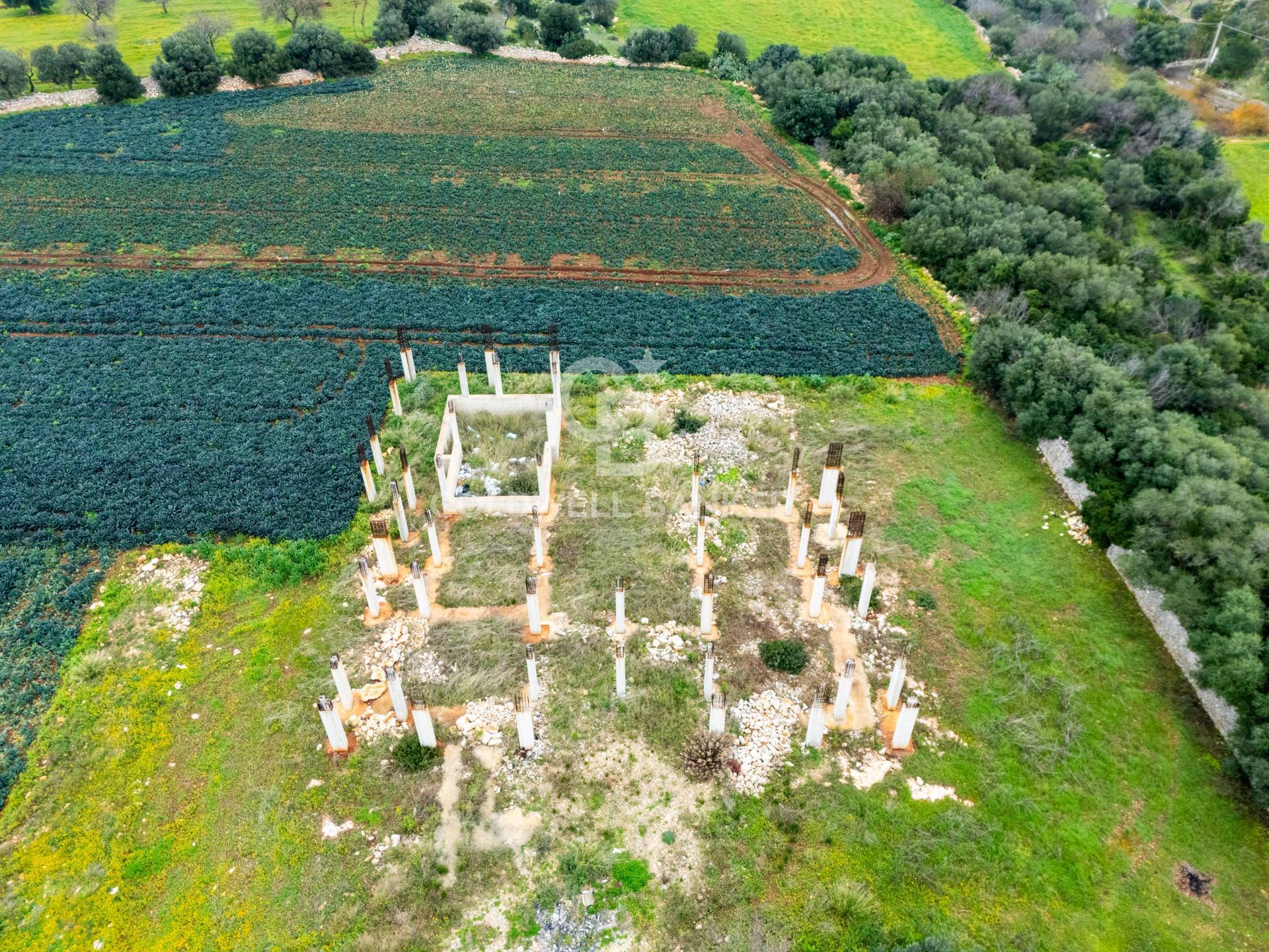Terreno agricolo in vendita a Polignano a Mare