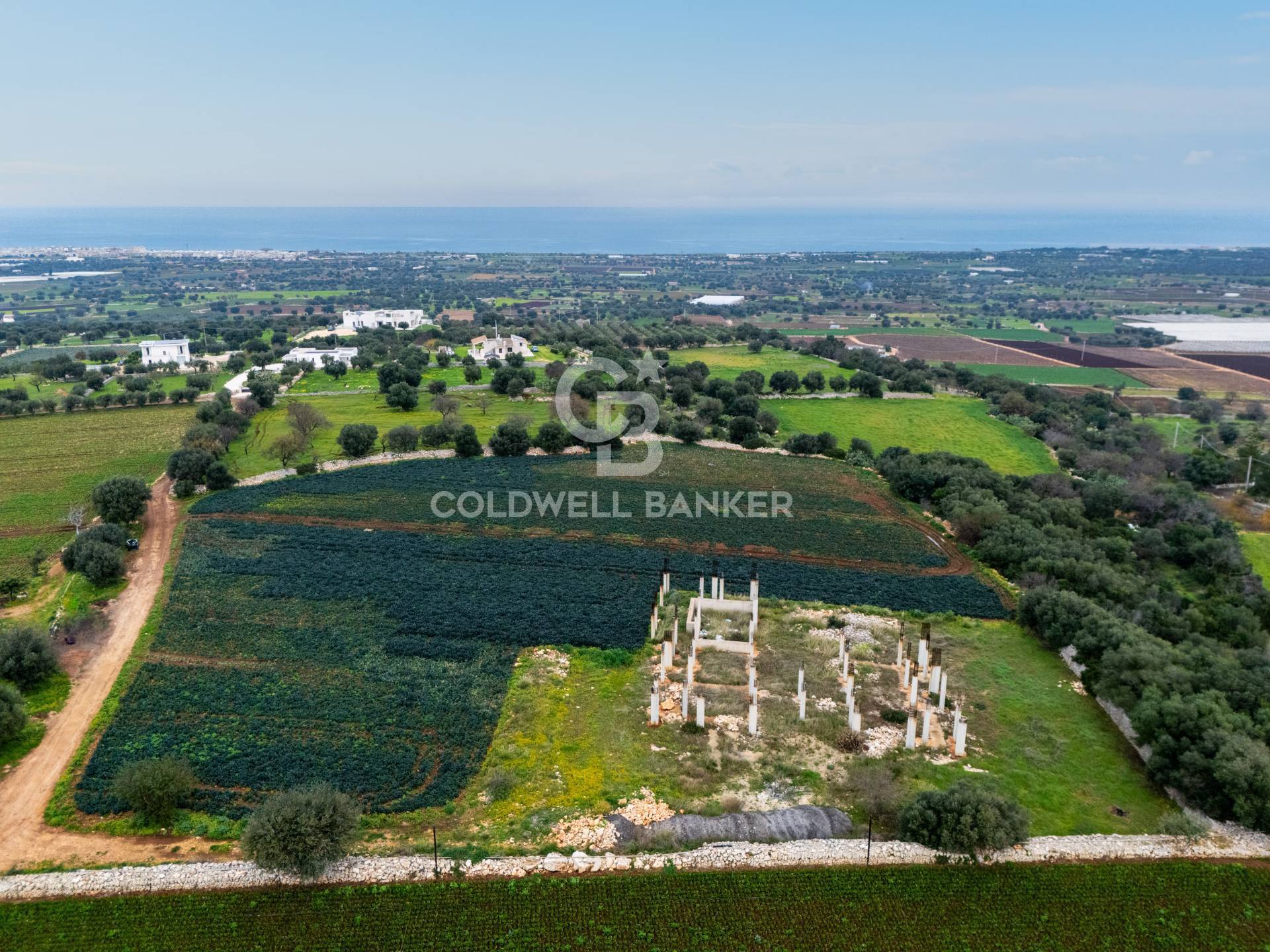Terreno agricolo in vendita a Polignano a Mare