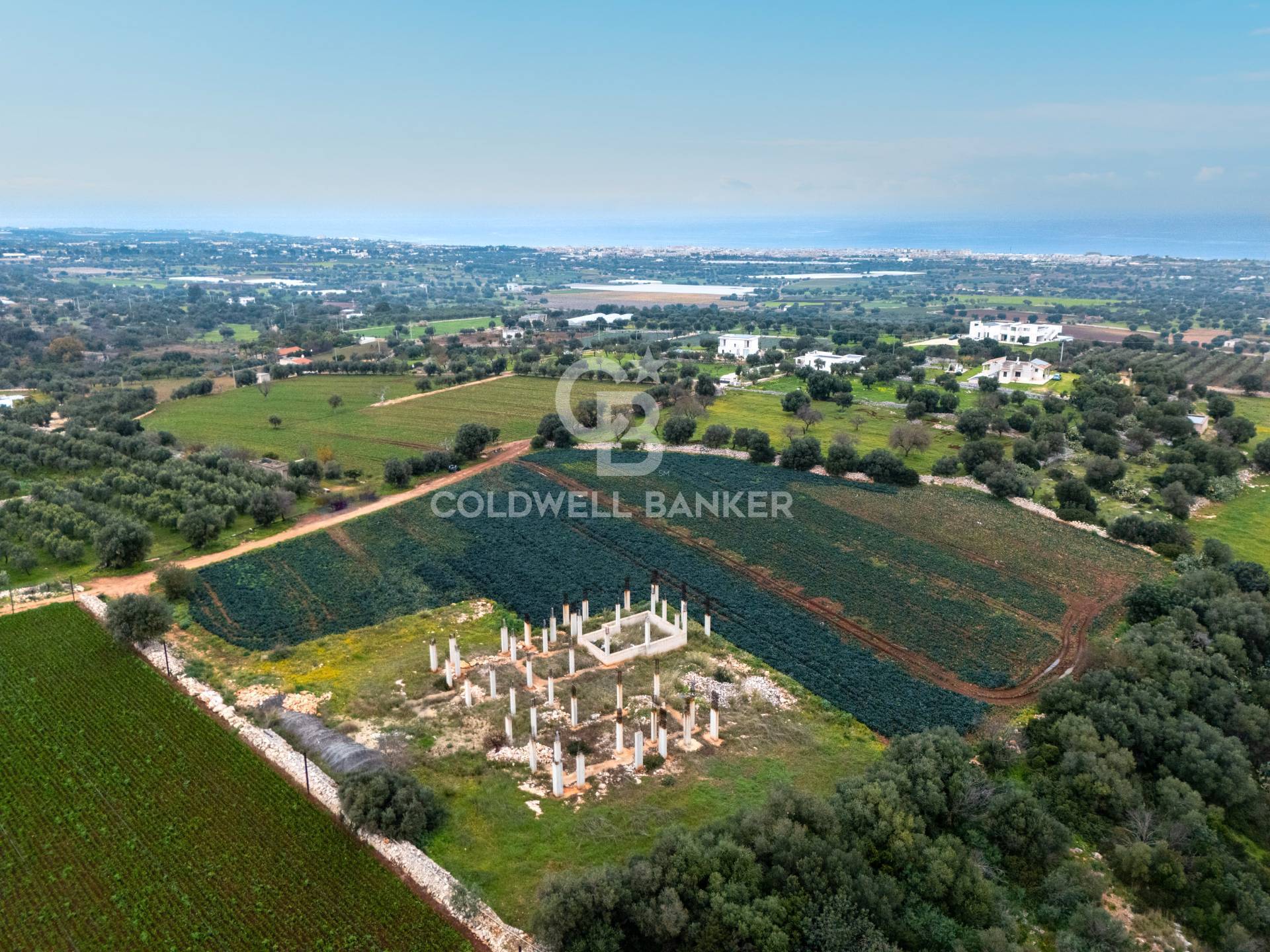 Terreno agricolo in vendita a Polignano a Mare