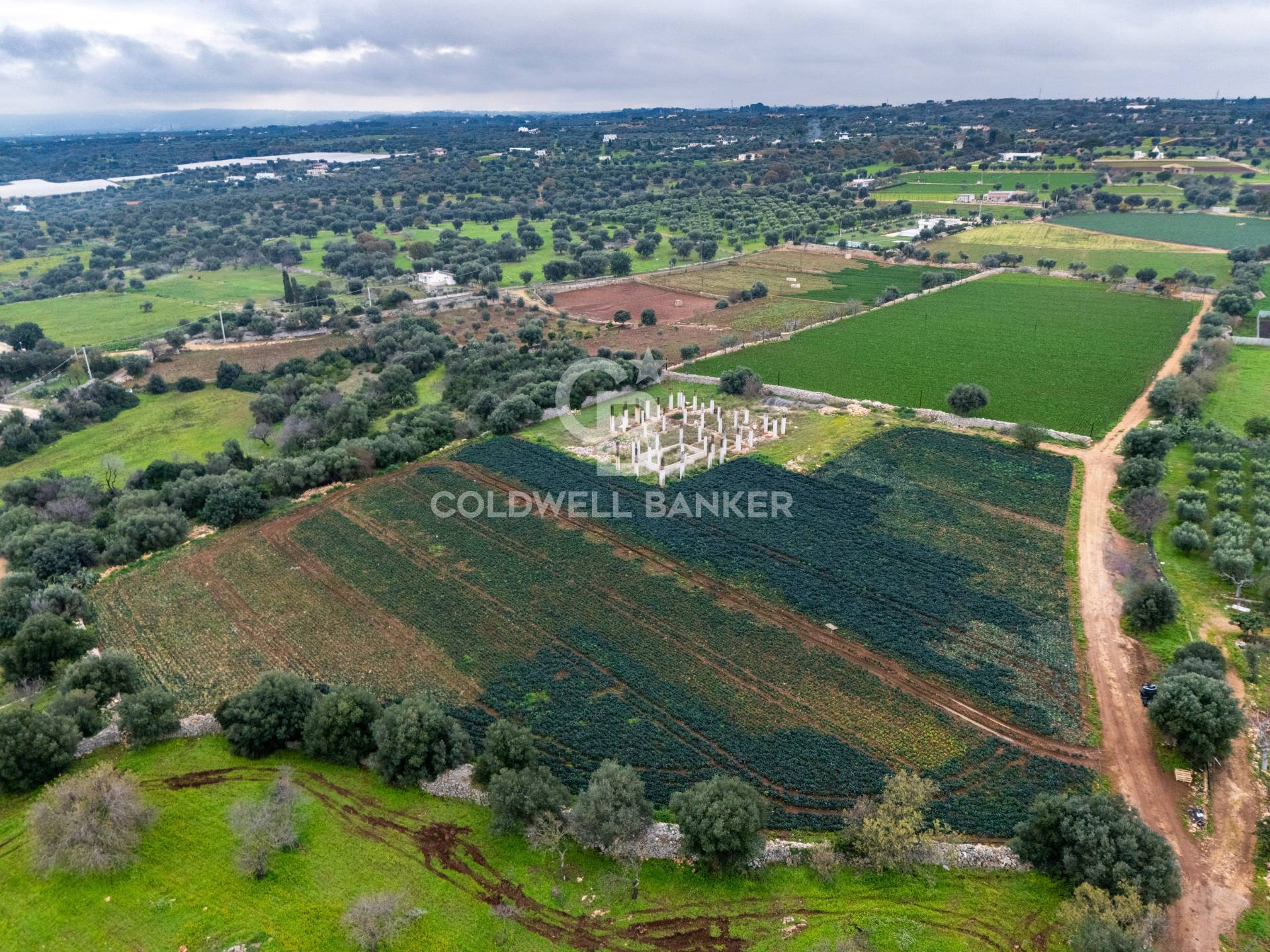 Terreno agricolo in vendita a Polignano a Mare