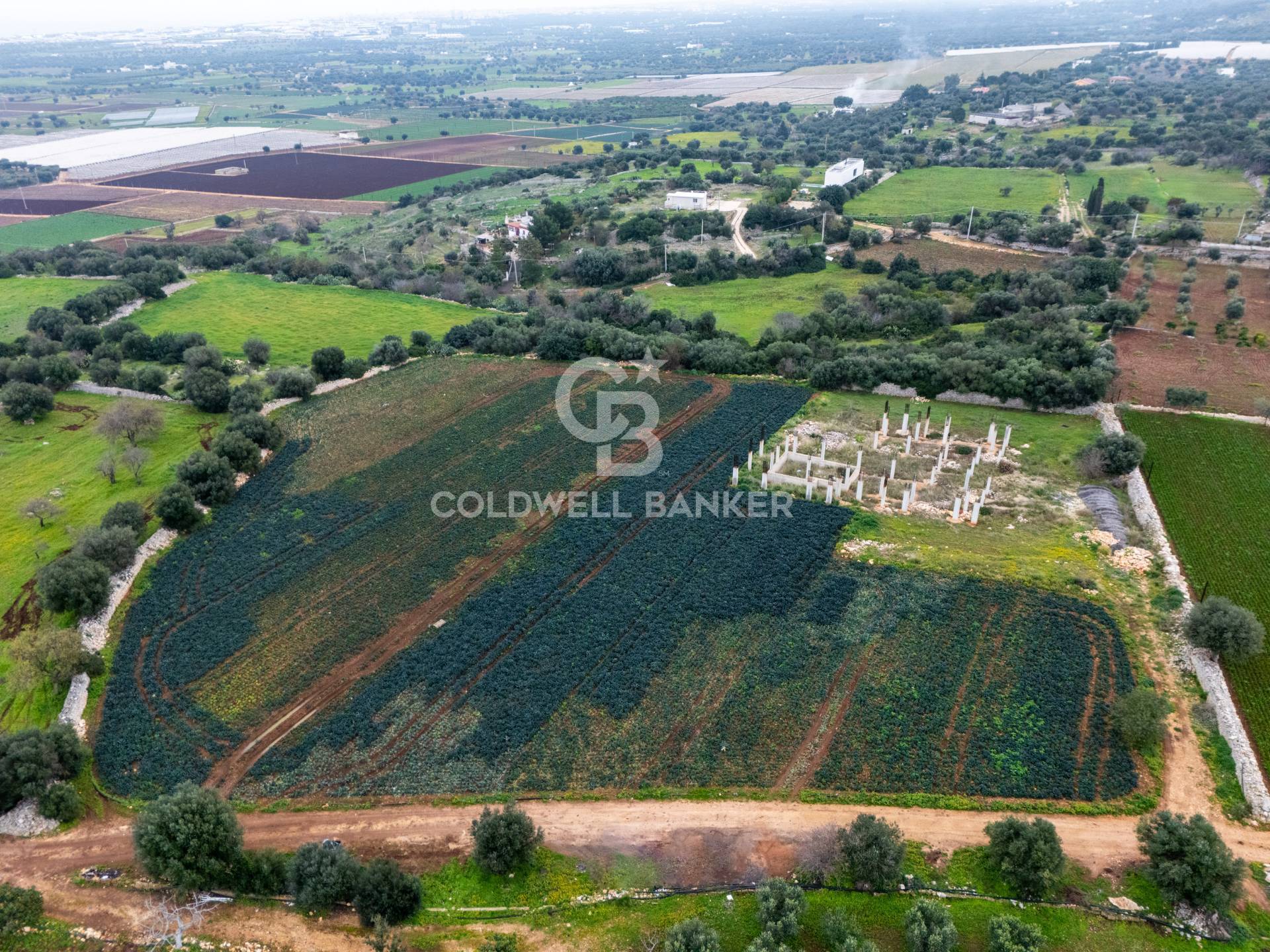 Terreno agricolo in vendita a Polignano a Mare