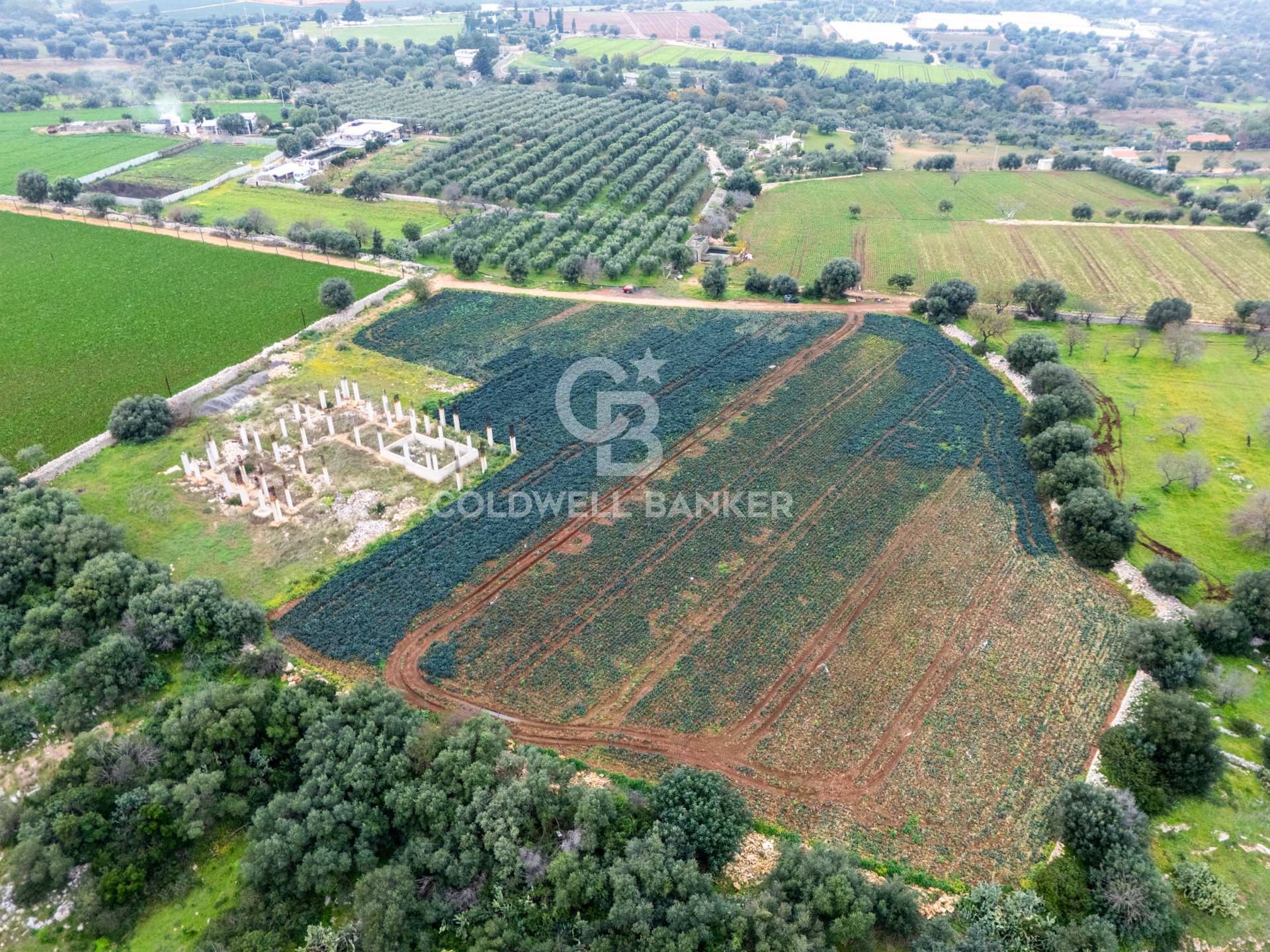 Terreno agricolo in vendita a Polignano a Mare