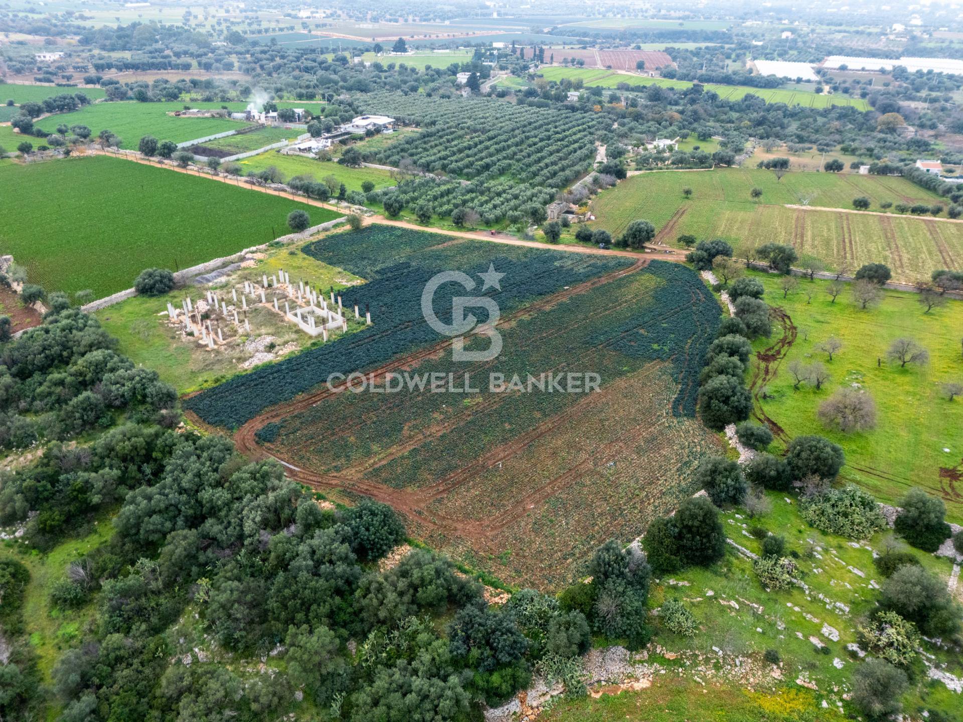 Terreno agricolo in vendita a Polignano a Mare