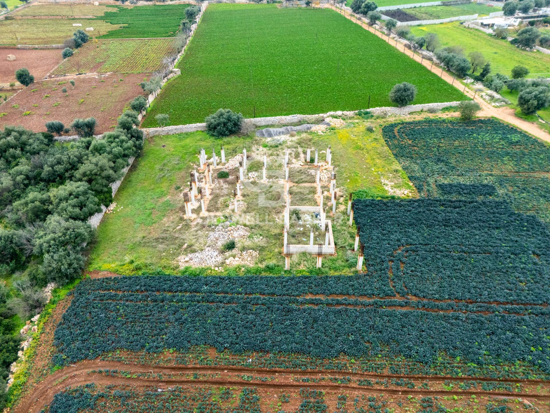Terreno agricolo in vendita a Polignano a Mare
