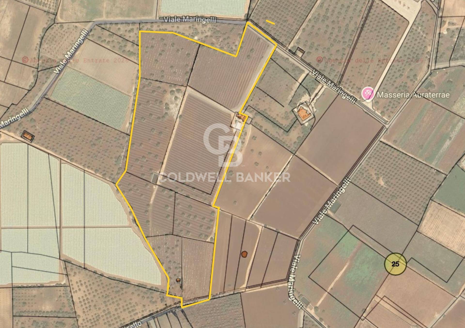 Terreno agricolo in vendita a Polignano a Mare